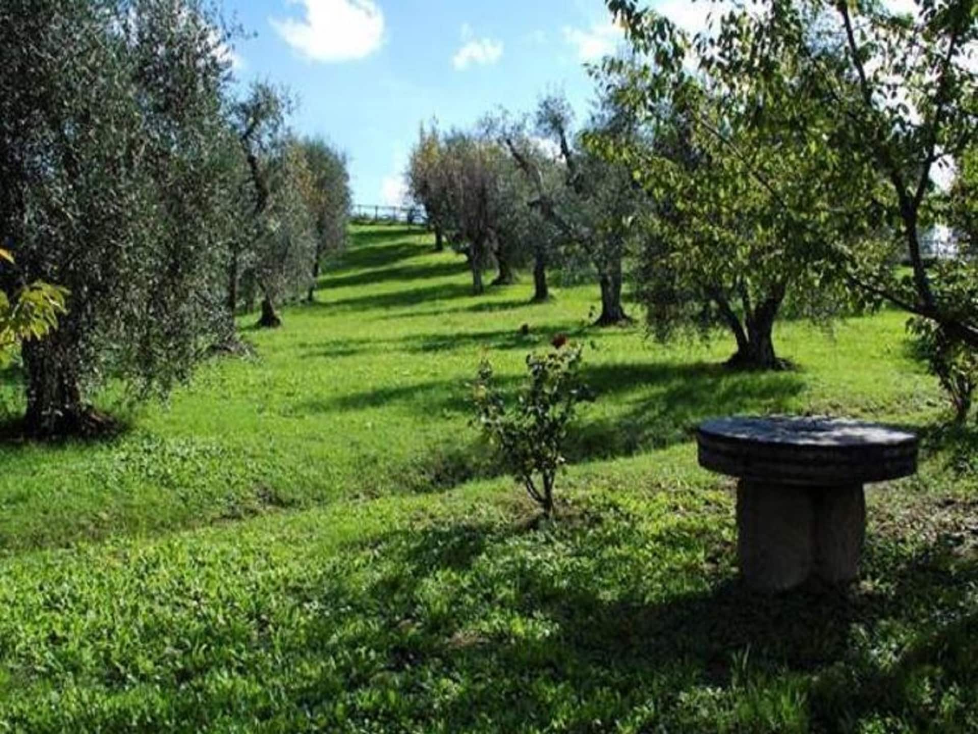 Ruim vakantiehuis Podere Torre in Palaia voor 12 personen - foto 37