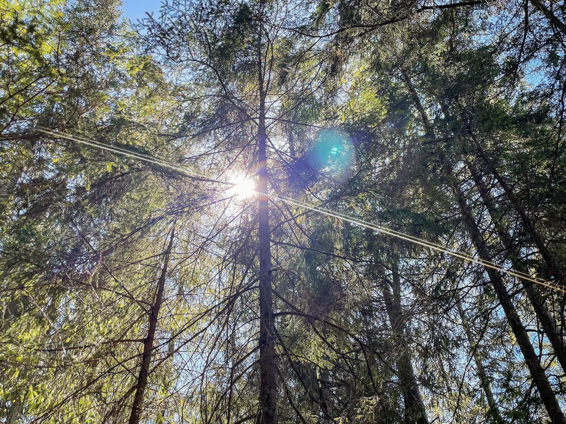 6-persoons vakantiehuis in Håcksvik op 300 meter van zee - foto 69