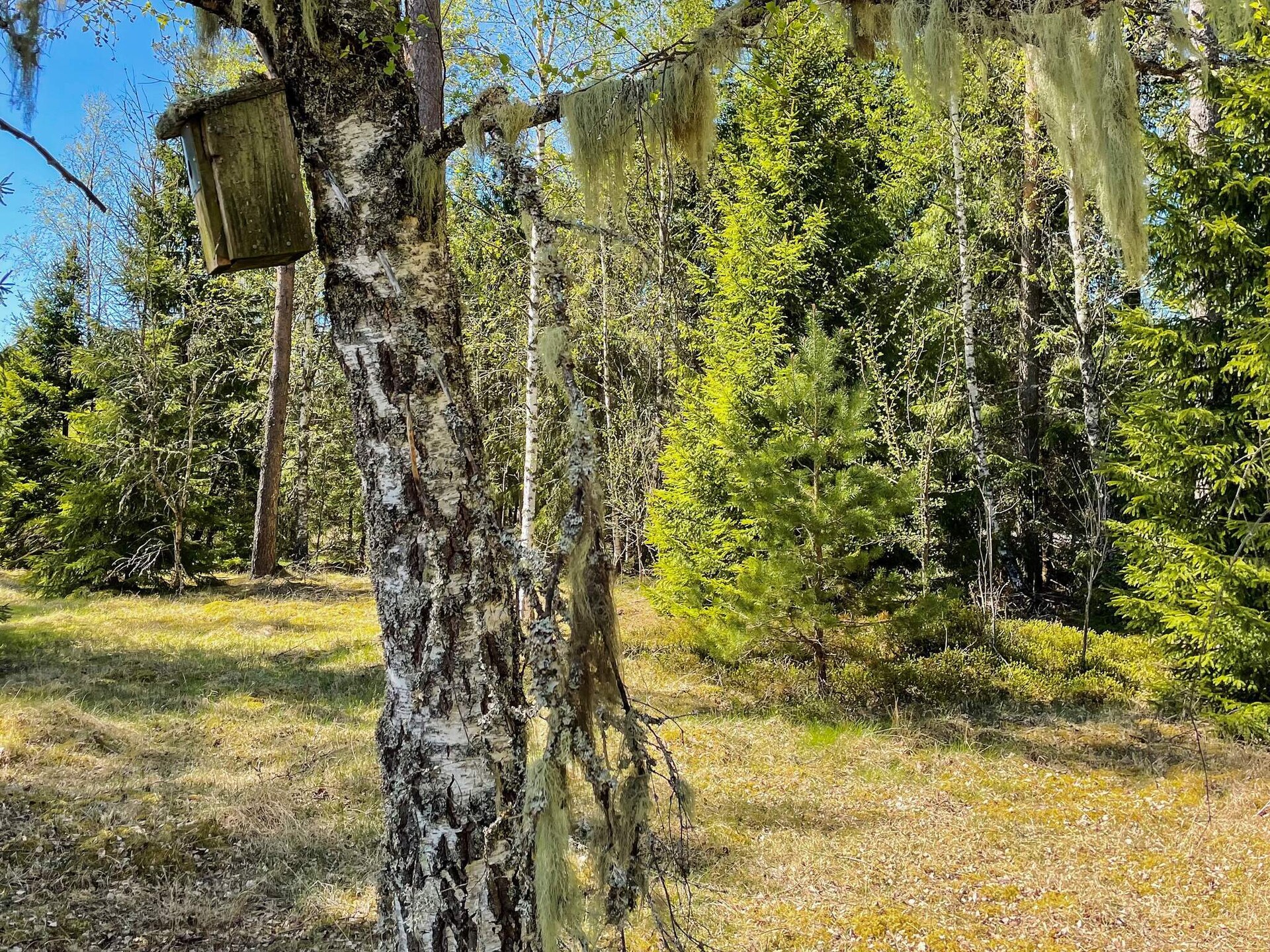 6-persoons vakantiehuis in Håcksvik op 300 meter van zee - foto 70