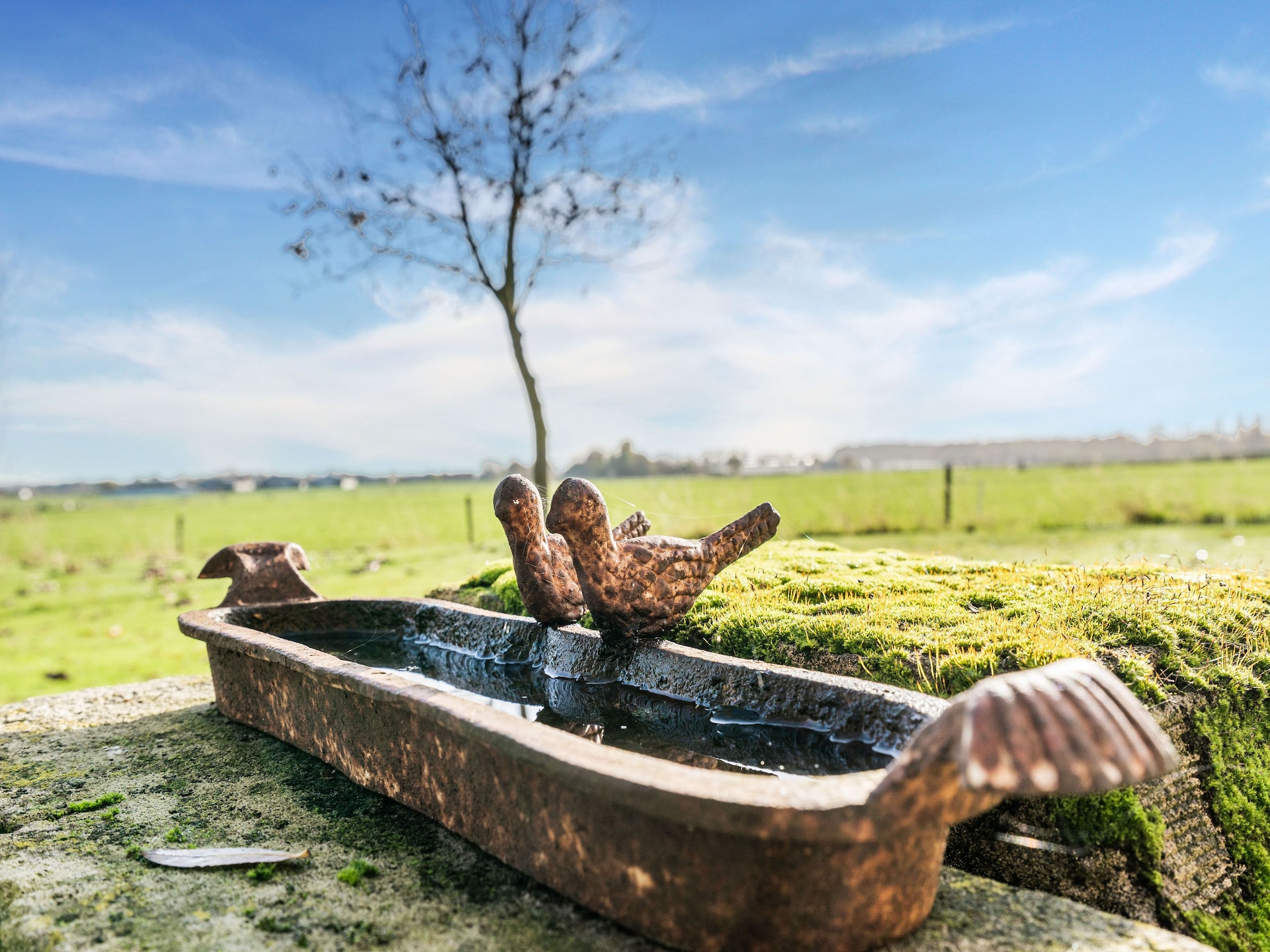 8-persoons vakantiehuis met vijver en tuin in Aartrijke - foto 37