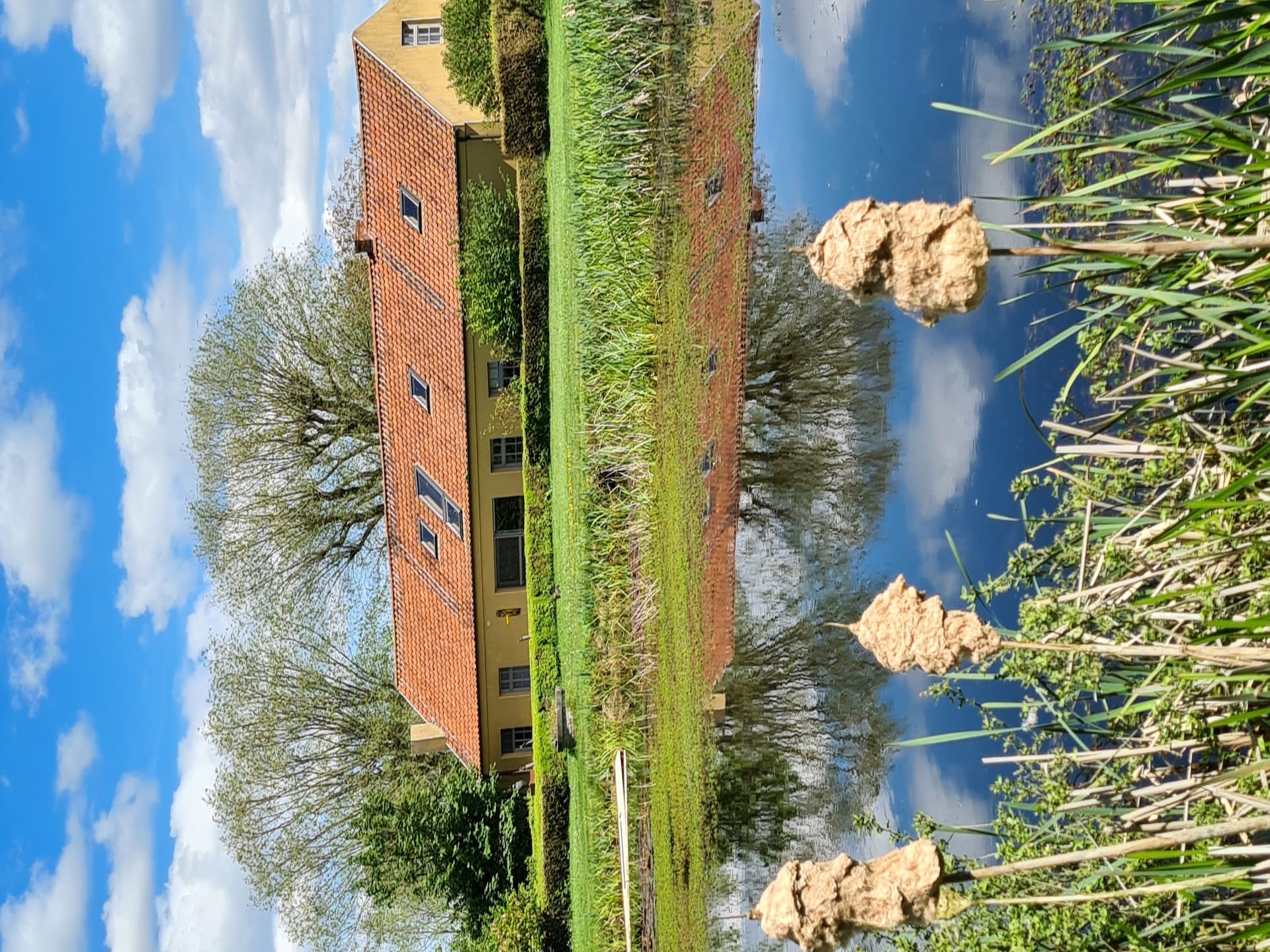 8-persoons vakantiehuis met vijver en tuin in Aartrijke - foto 38