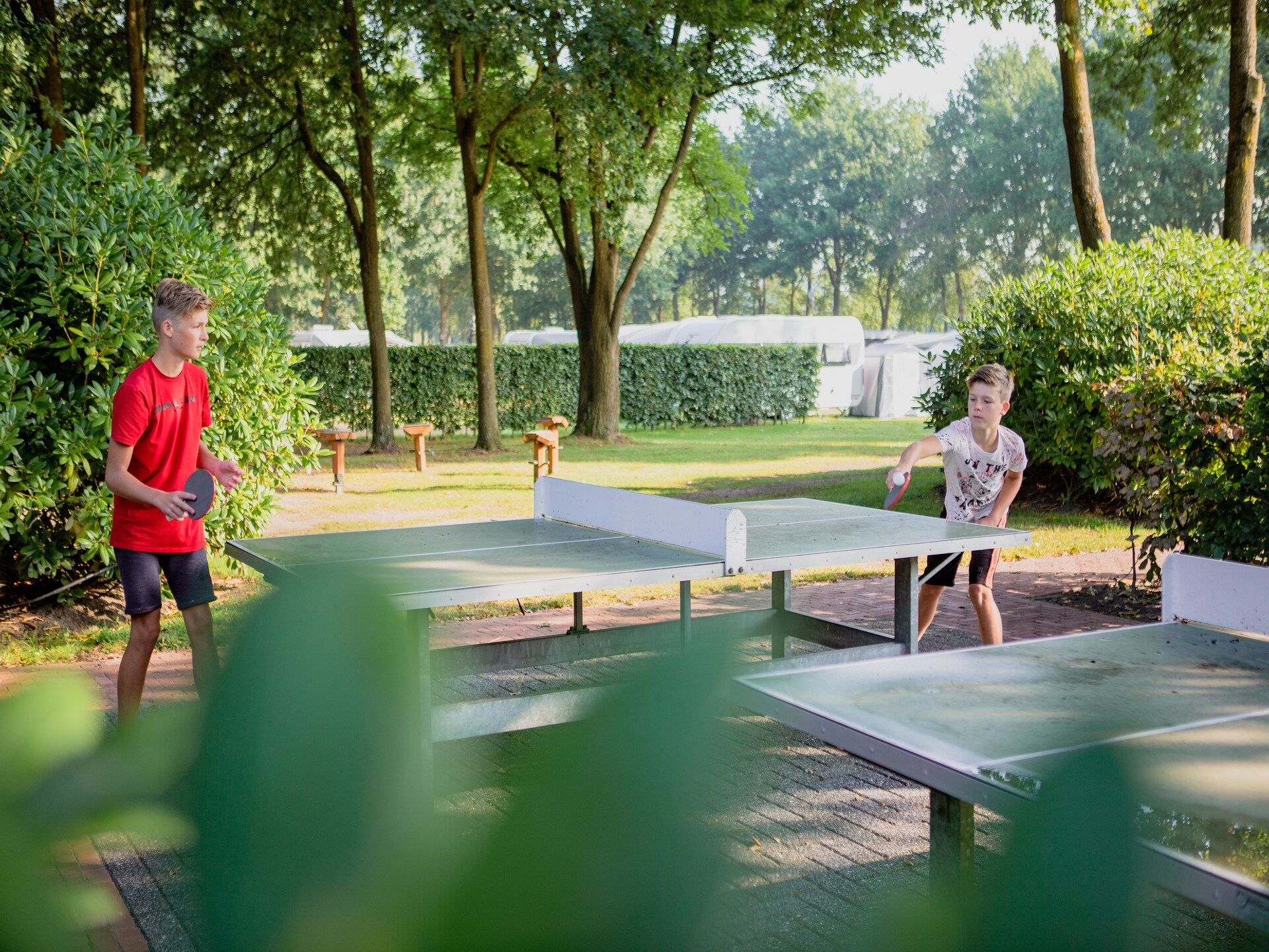 Tiny House in Oirschot: knus chalet met overdekt terras en zwembad - foto 18
