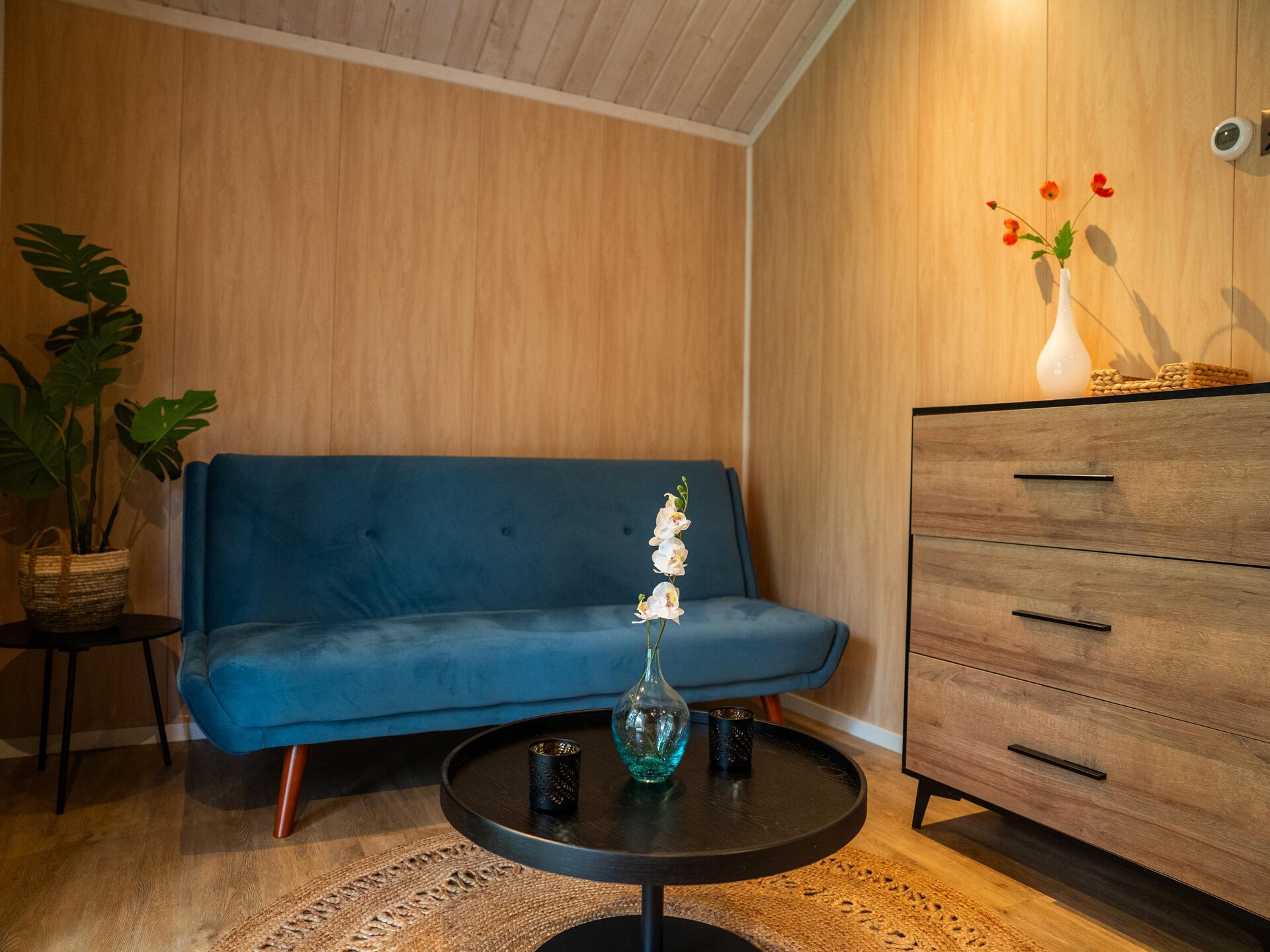Tiny House in Oirschot: knus chalet met overdekt terras en zwembad - foto 7