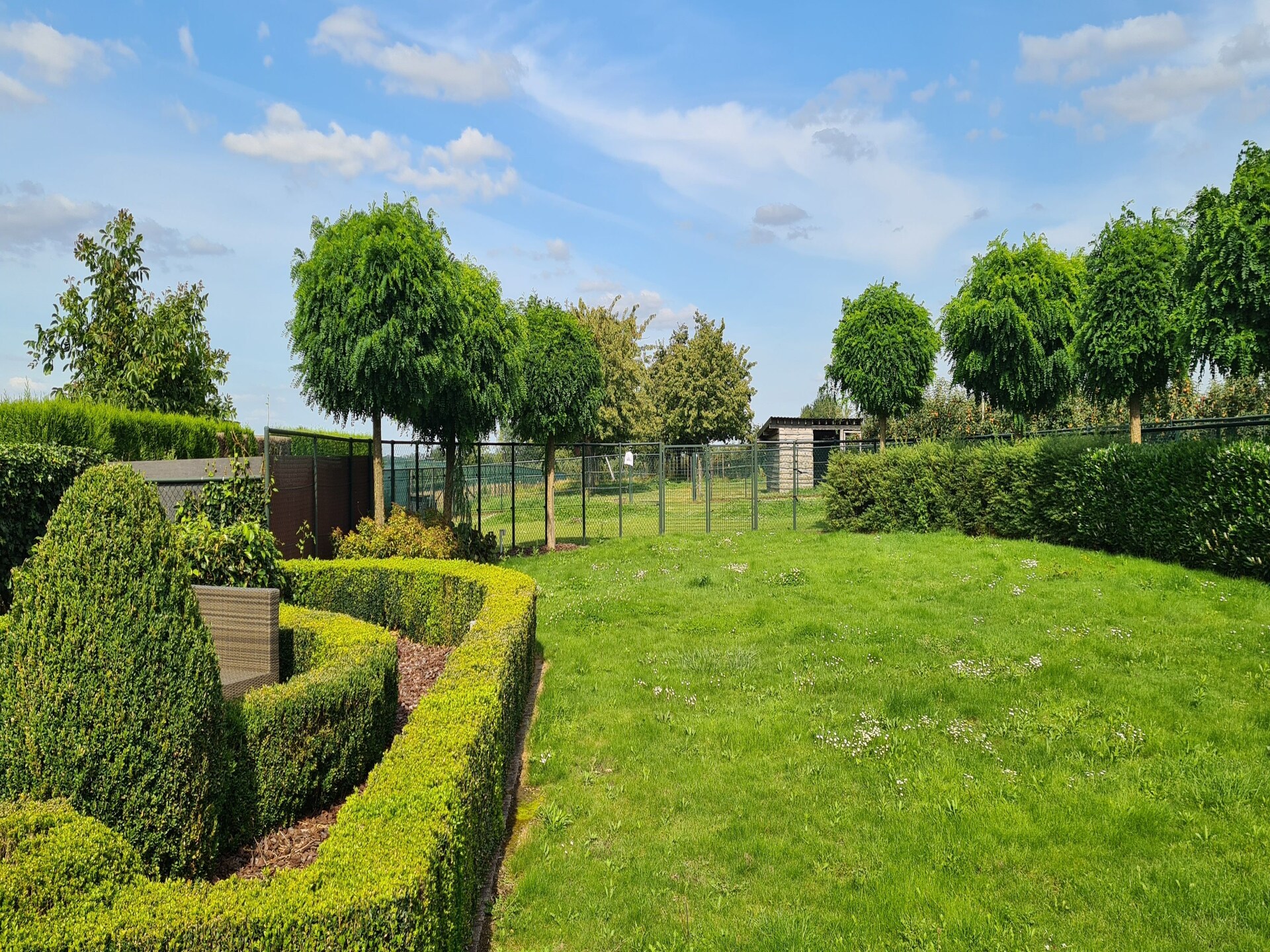 Ruime hoeve voor 18 personen bij golfterrein in Alken, Haspengouw - foto 33