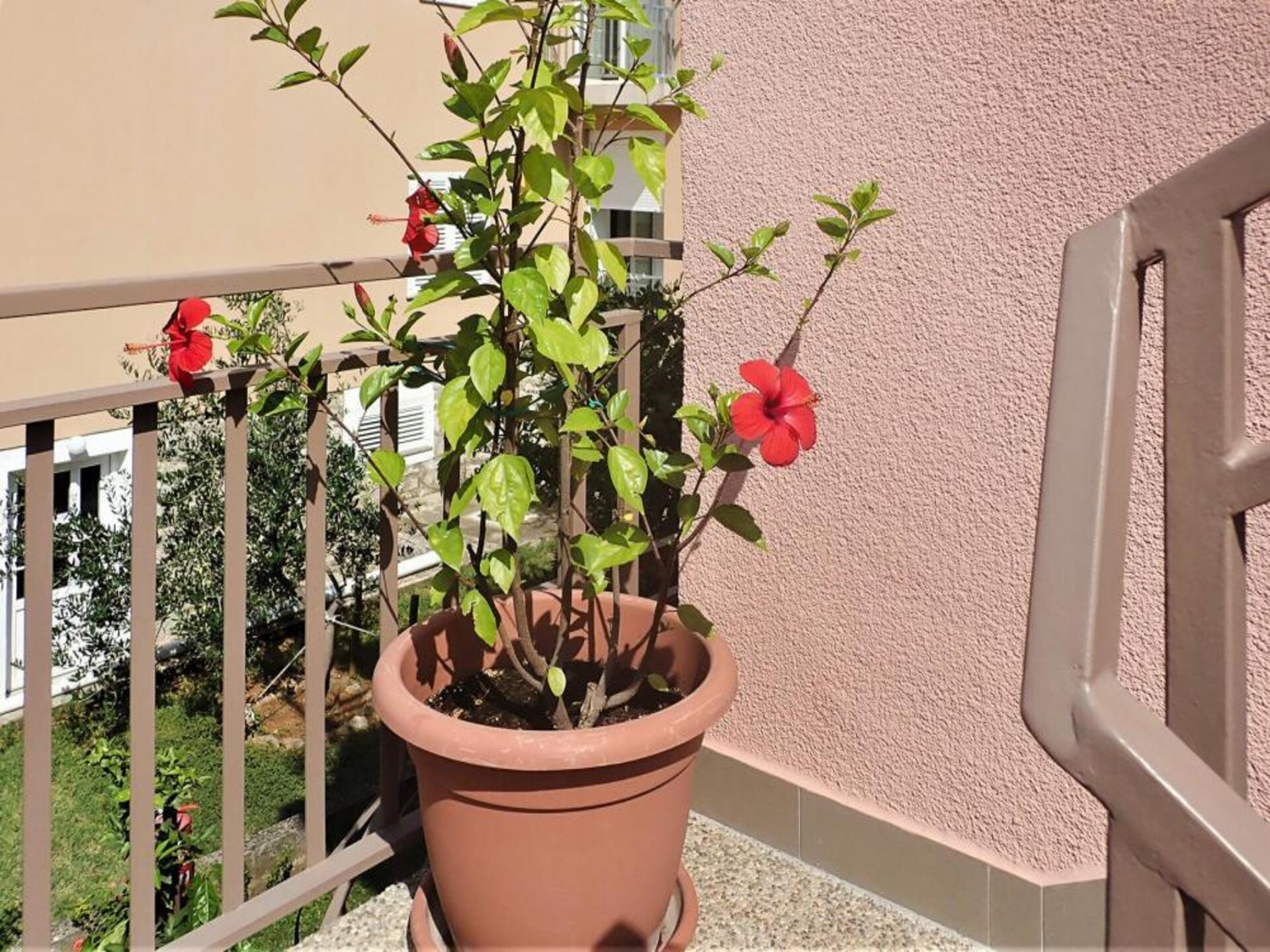 3-persoons appartement aan zee in Starigrad Paklenica - foto 22
