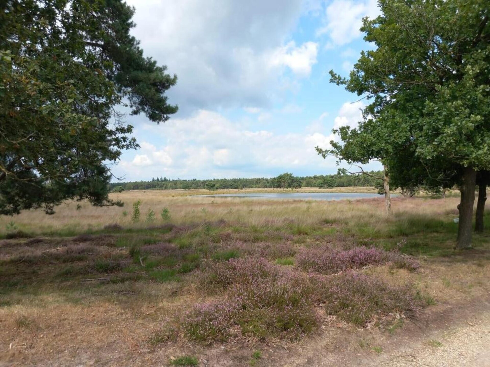 Vrijstaand chalet aan bosrand op autovrij vakantiepark in Vlierden - foto 27