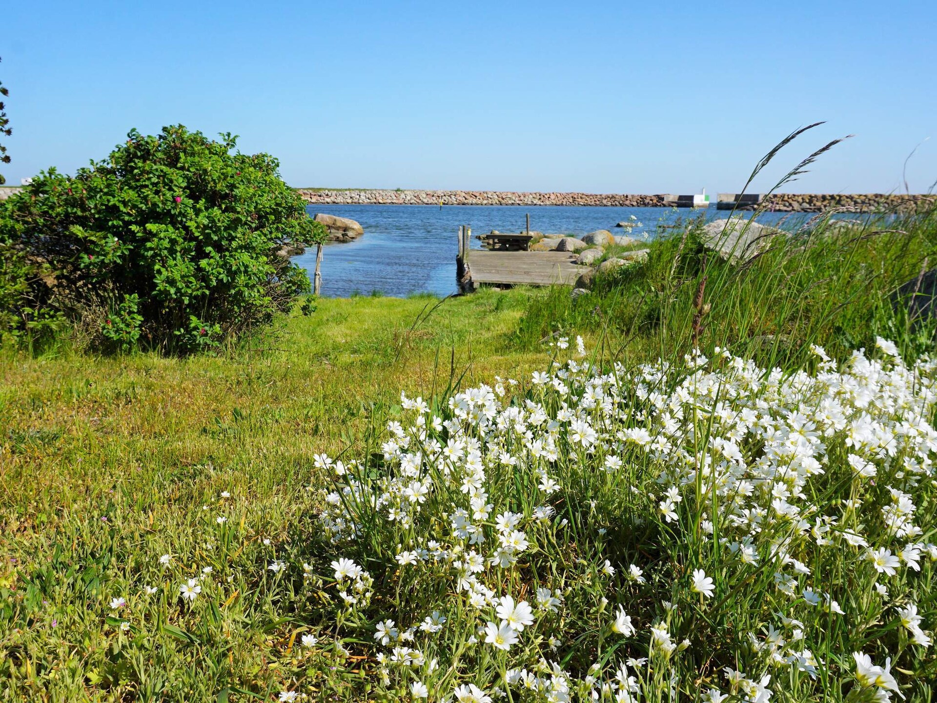 5-persoons vakantiehuis aan zee in Sölvesborg · 5 pers. - foto 9