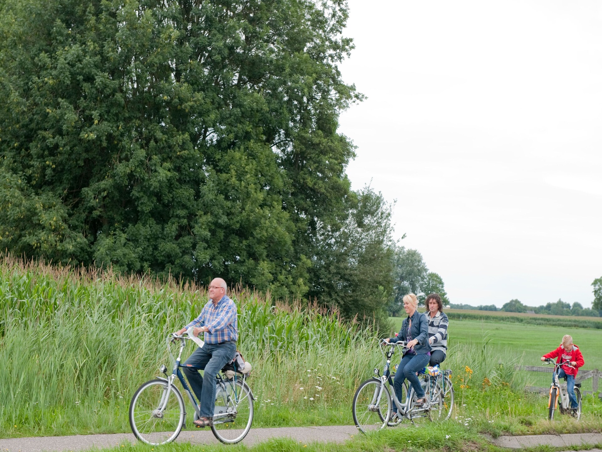 Gezellige bosvakantie in autovrij Park De Peel, huisdieren welkom - foto 20