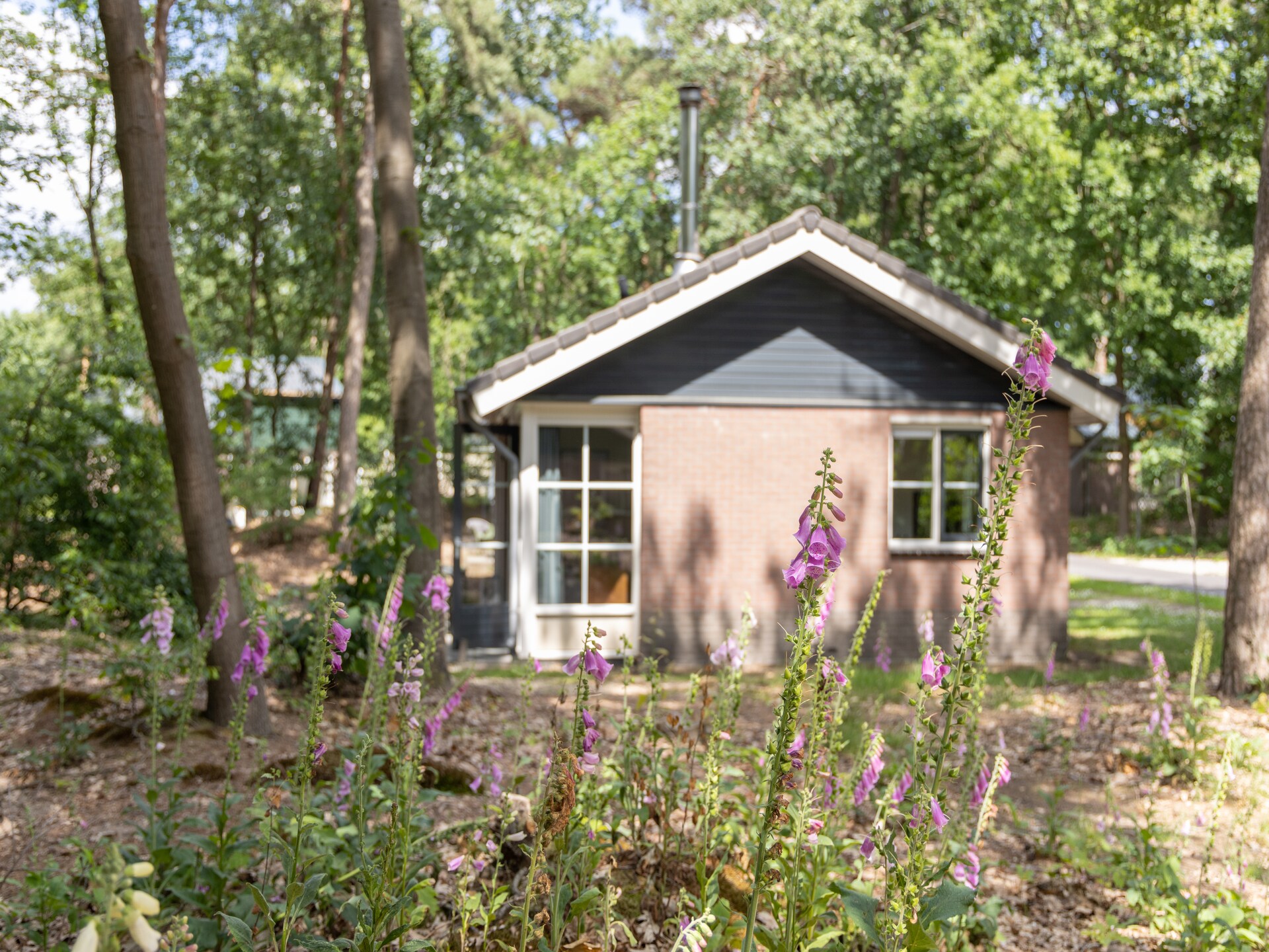 Gezellige bosvakantie in autovrij Park De Peel, huisdieren welkom - foto 4