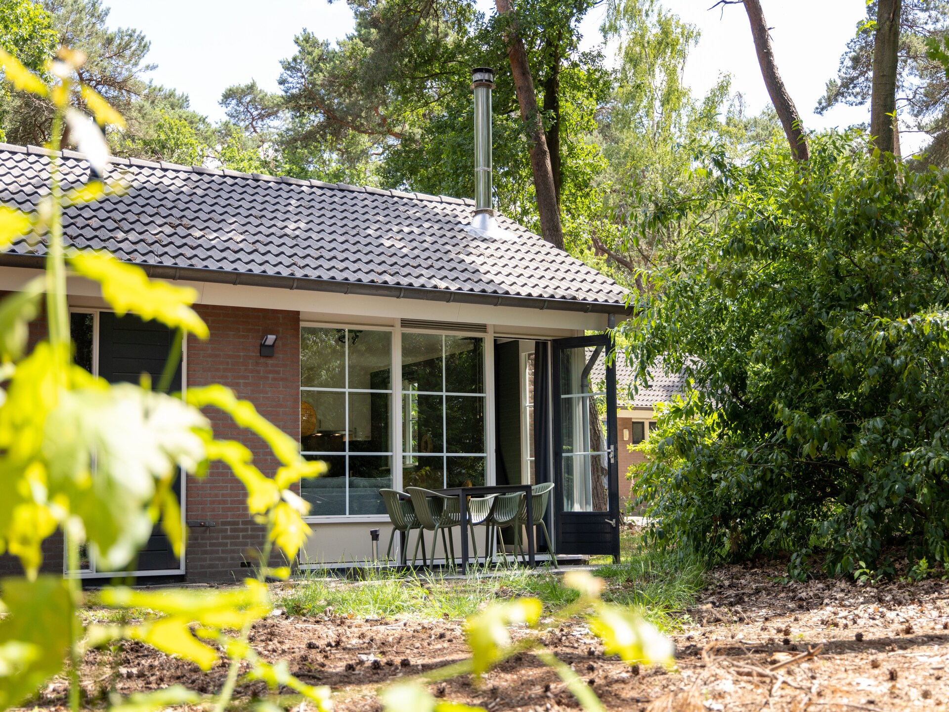 Gezellige bosvakantie in autovrij Park De Peel, huisdieren welkom - foto 7