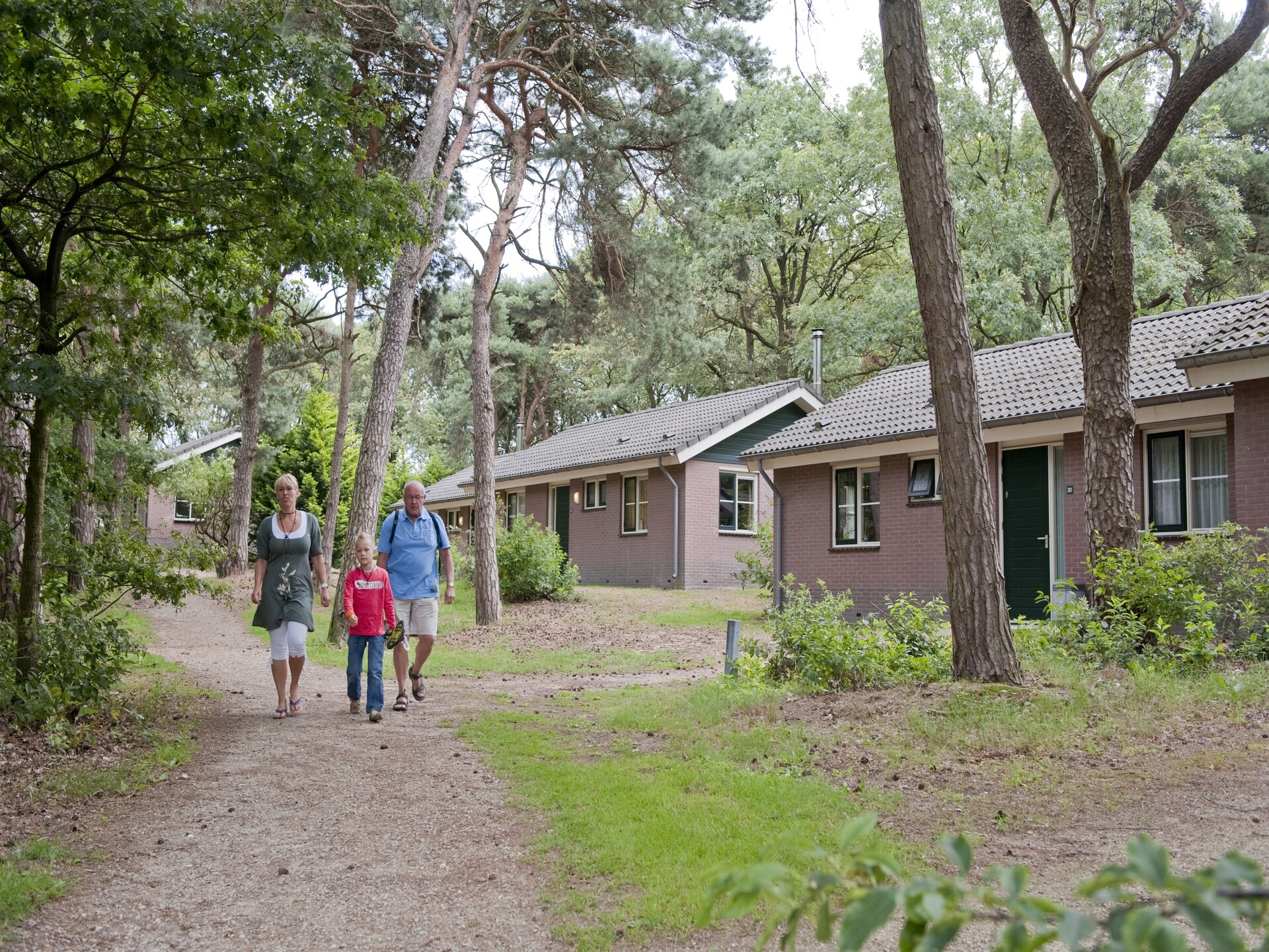 Rustige gelijkvloerse bungalow aan bosrand in autovrij Park De Peel - foto 21