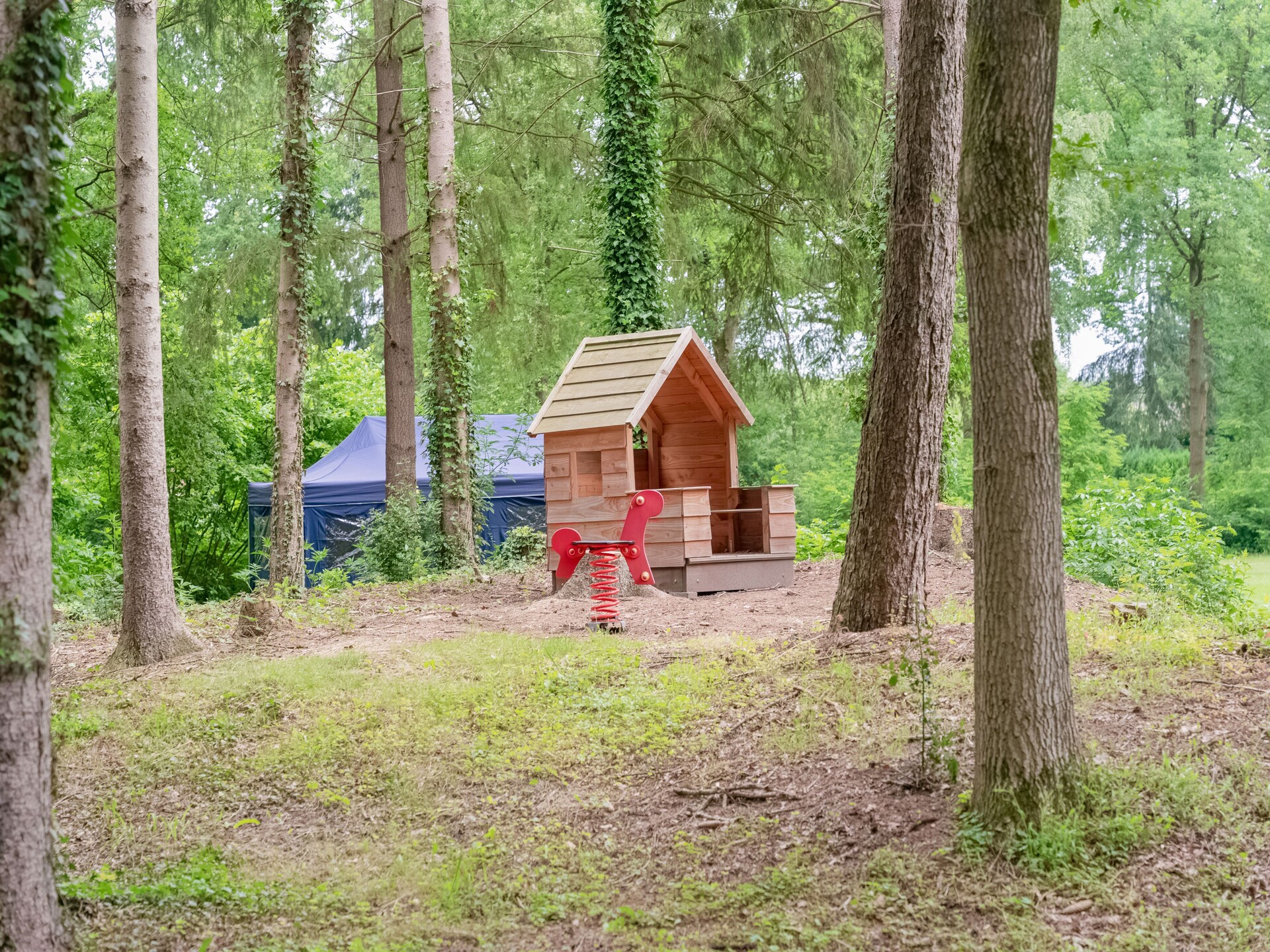 Gezellig chalet op rustig natuurpark in het Drentse Vledder - foto 25