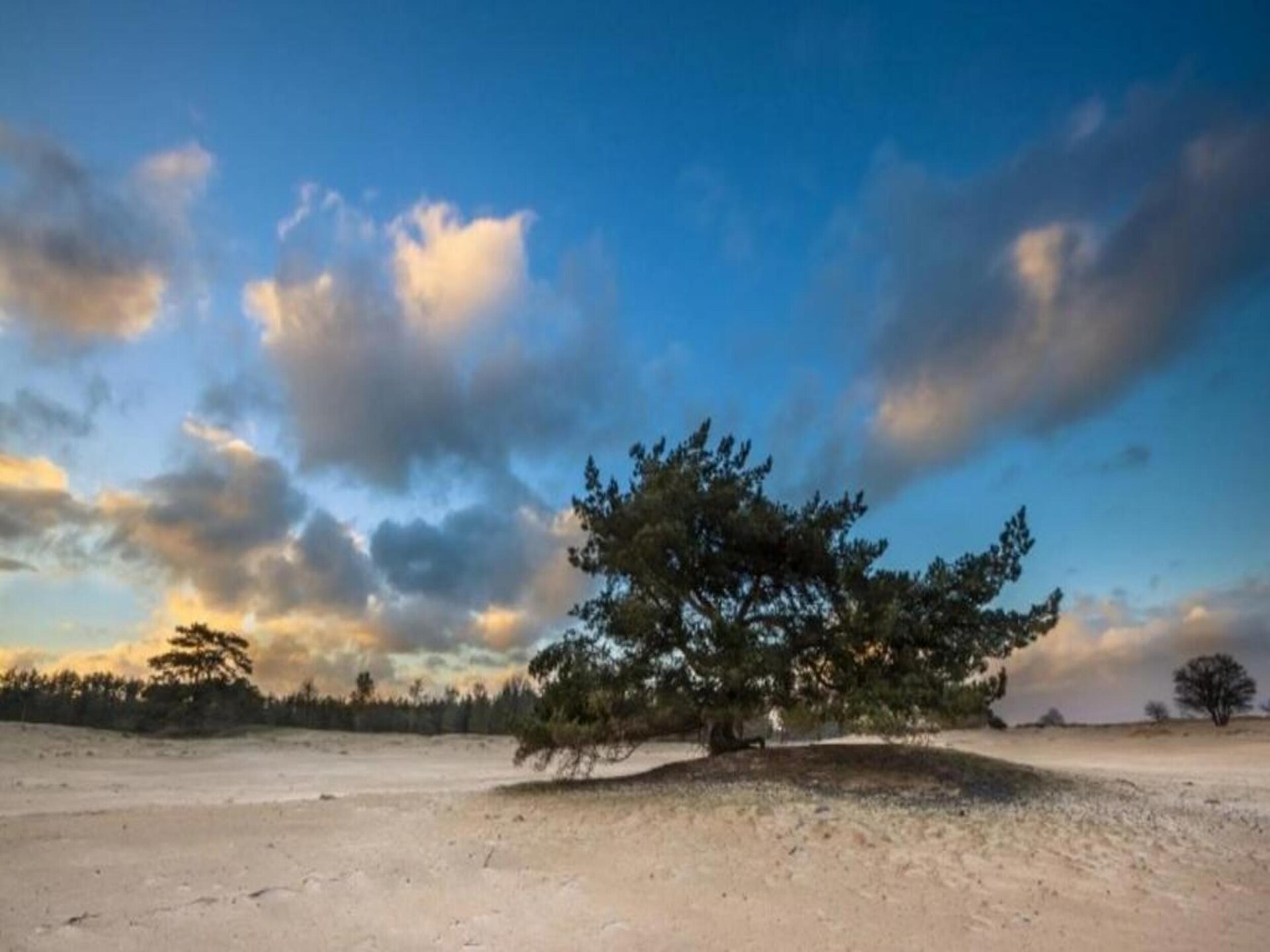 Gezellig chalet op rustig natuurpark in het Drentse Vledder - foto 35