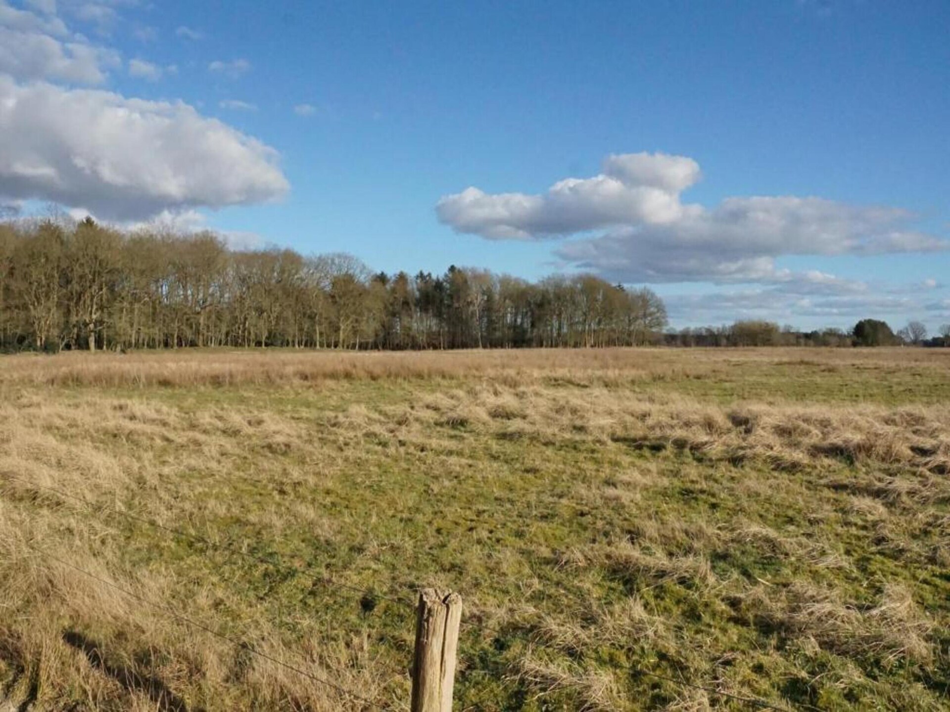 Gezellig chalet op rustig natuurpark in het Drentse Vledder - foto 37