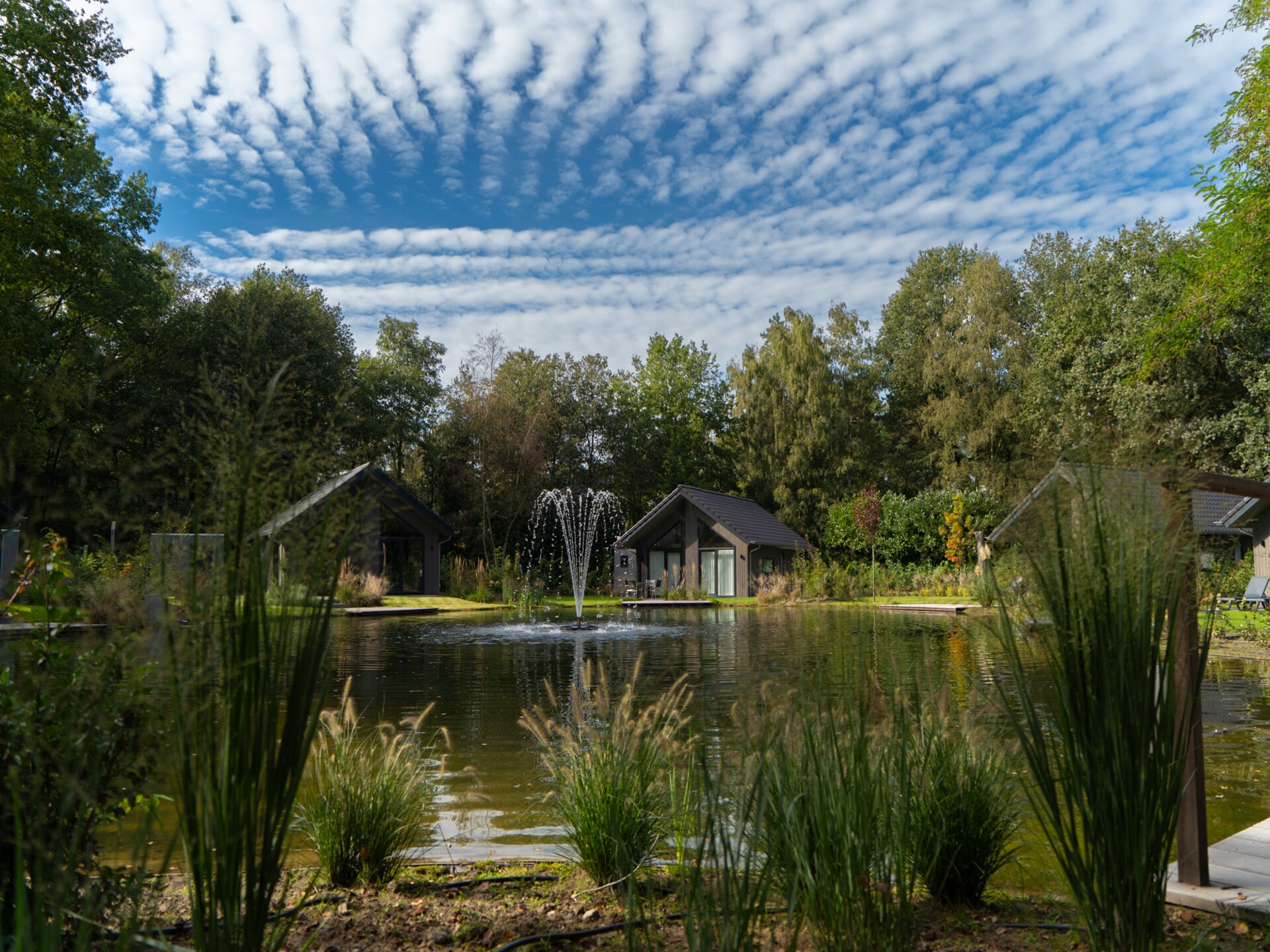 Vrijstaand chalet in Land van de Zaligheden, met zwembad op park - foto 14