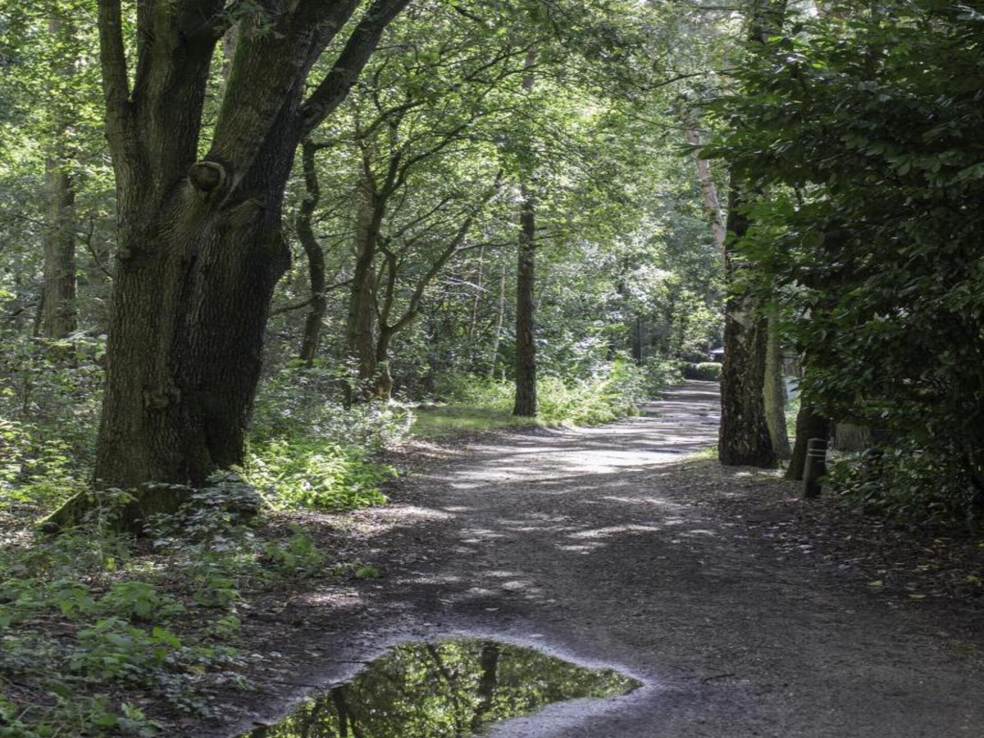 Vrijstaand chalet in Land van de Zaligheden, met zwembad op park - foto 30
