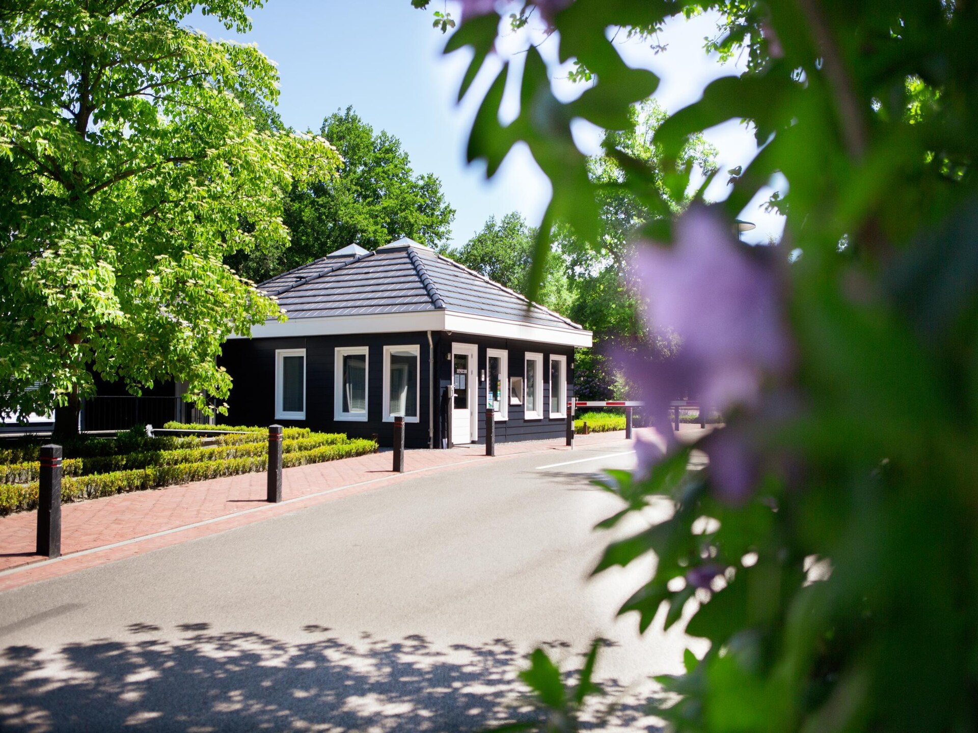 Charmante vrijstaande lodge op vakantiepark in groene omgeving Oirschot - foto 40