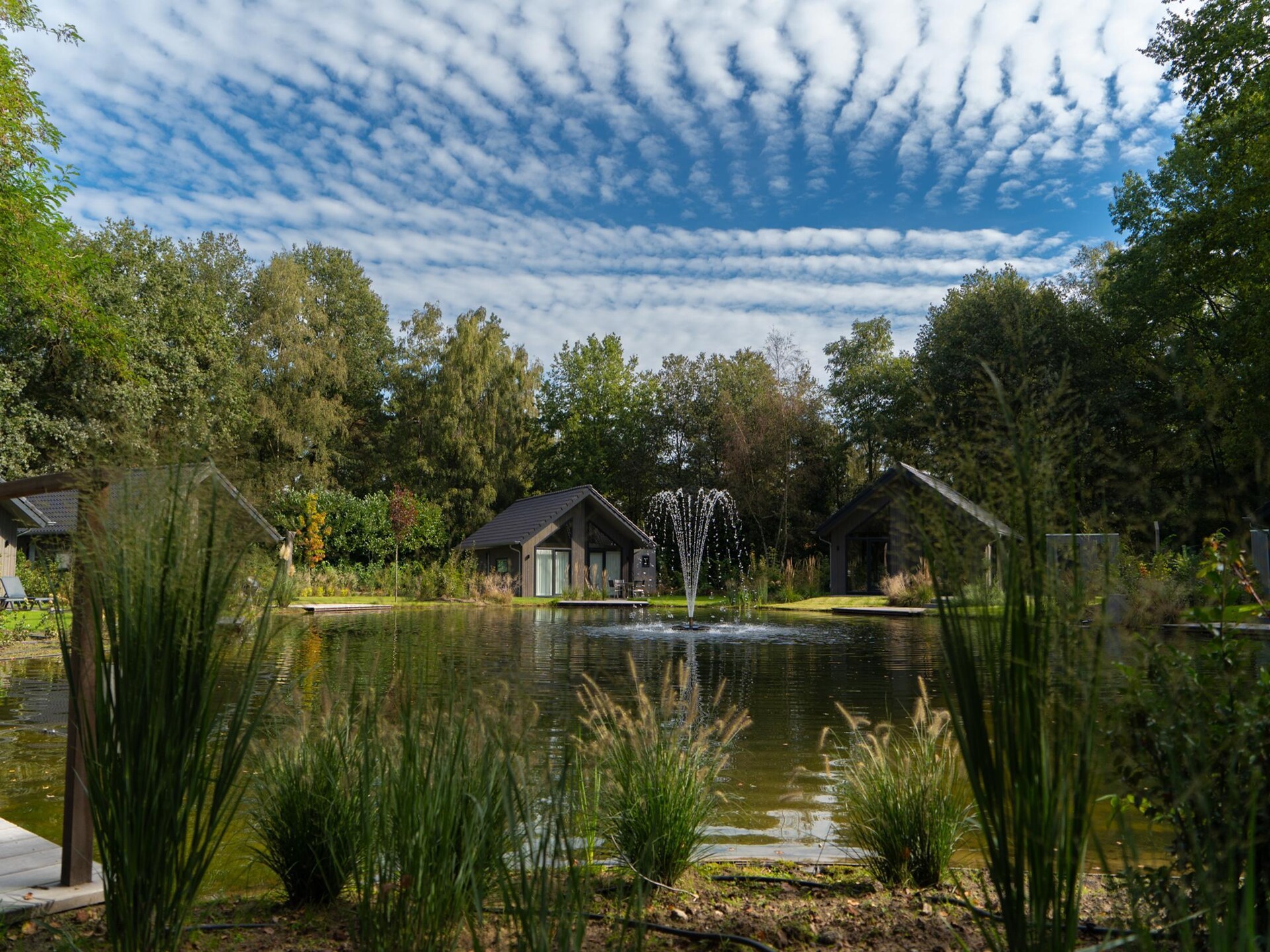 Charmante vrijstaande lodge op vakantiepark in groene omgeving Oirschot - foto 14