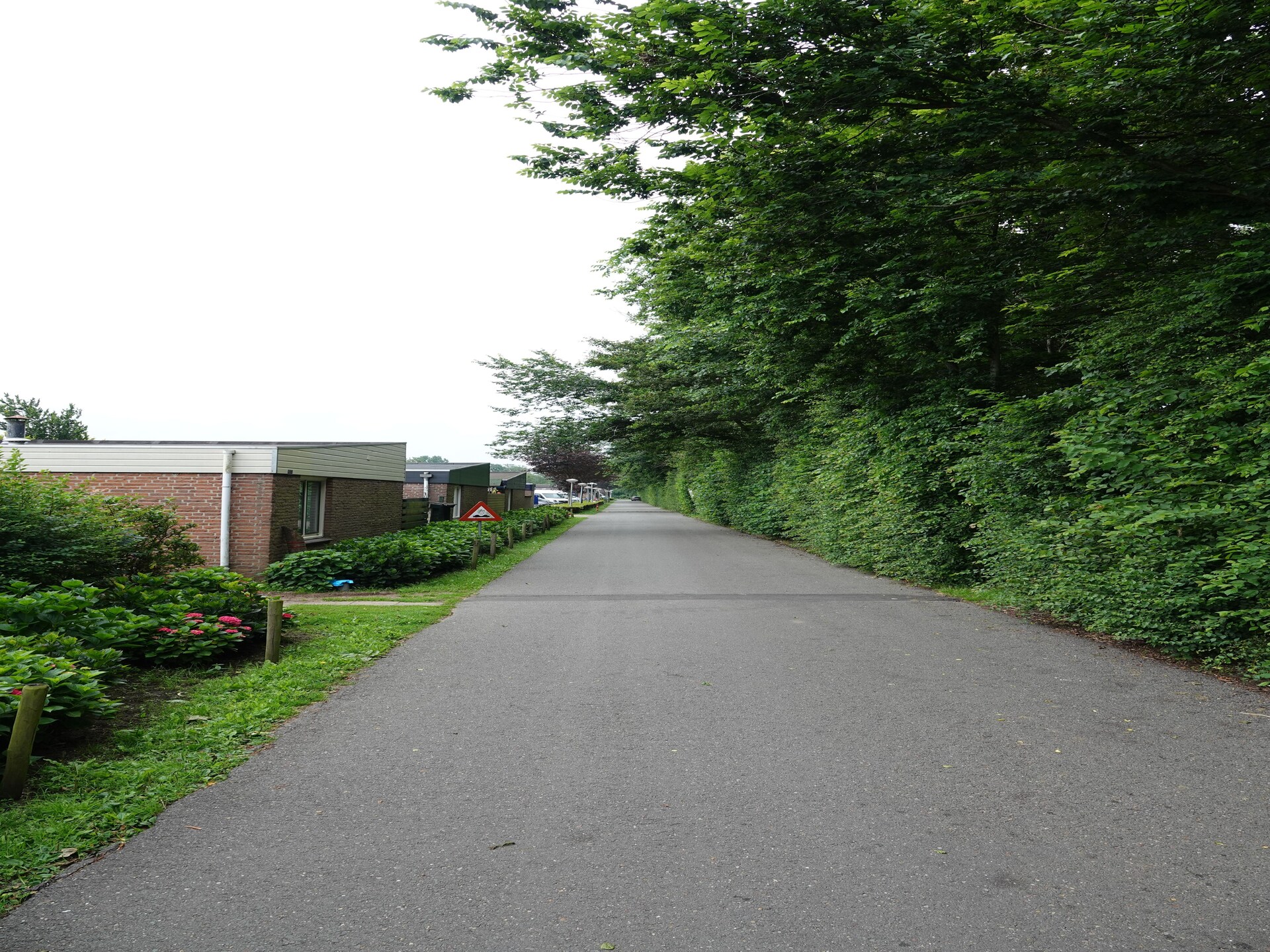 Relaxing Summer: knus vakantiehuis in Noordwijkerhout, 300m van Oosterduinse Meer - foto 30