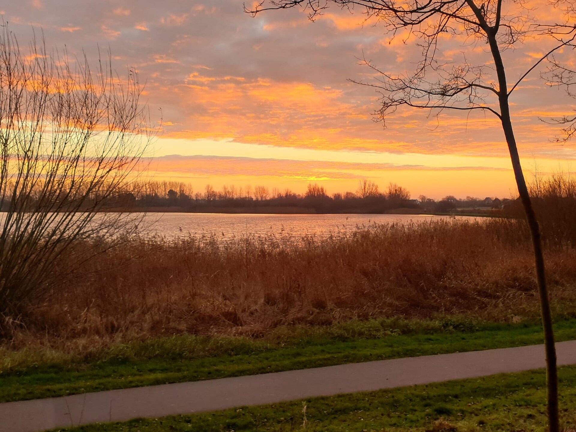 Relaxing Summer: knus vakantiehuis in Noordwijkerhout, 300m van Oosterduinse Meer - foto 31