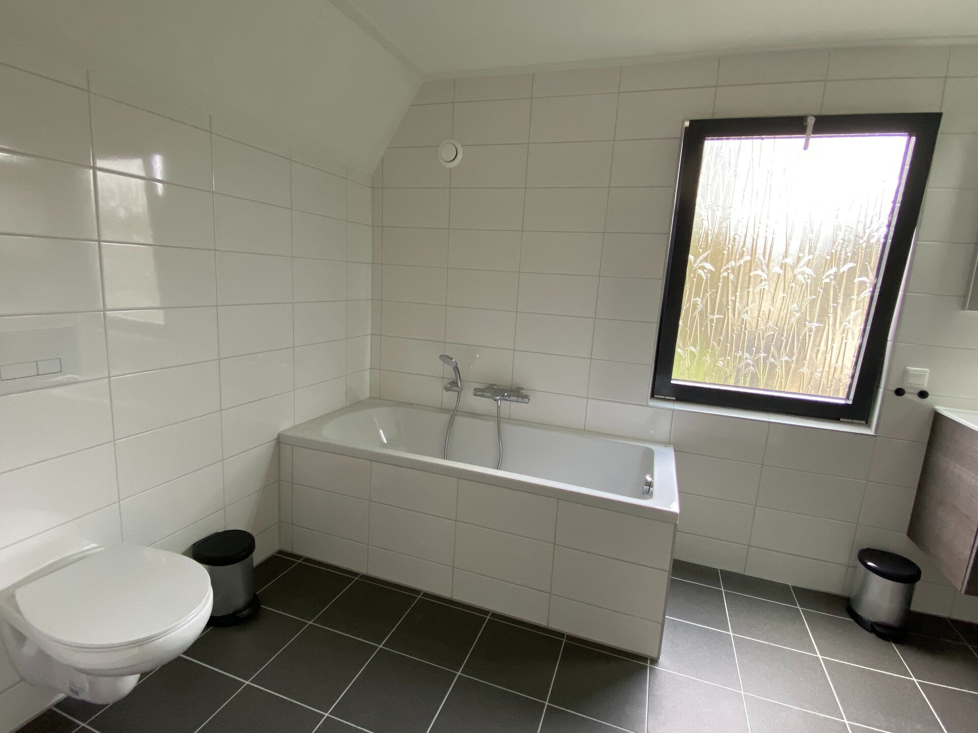 Luxe vrijstaand vakantiehuis op rustig park bij Biesbosch en Breda - foto 14