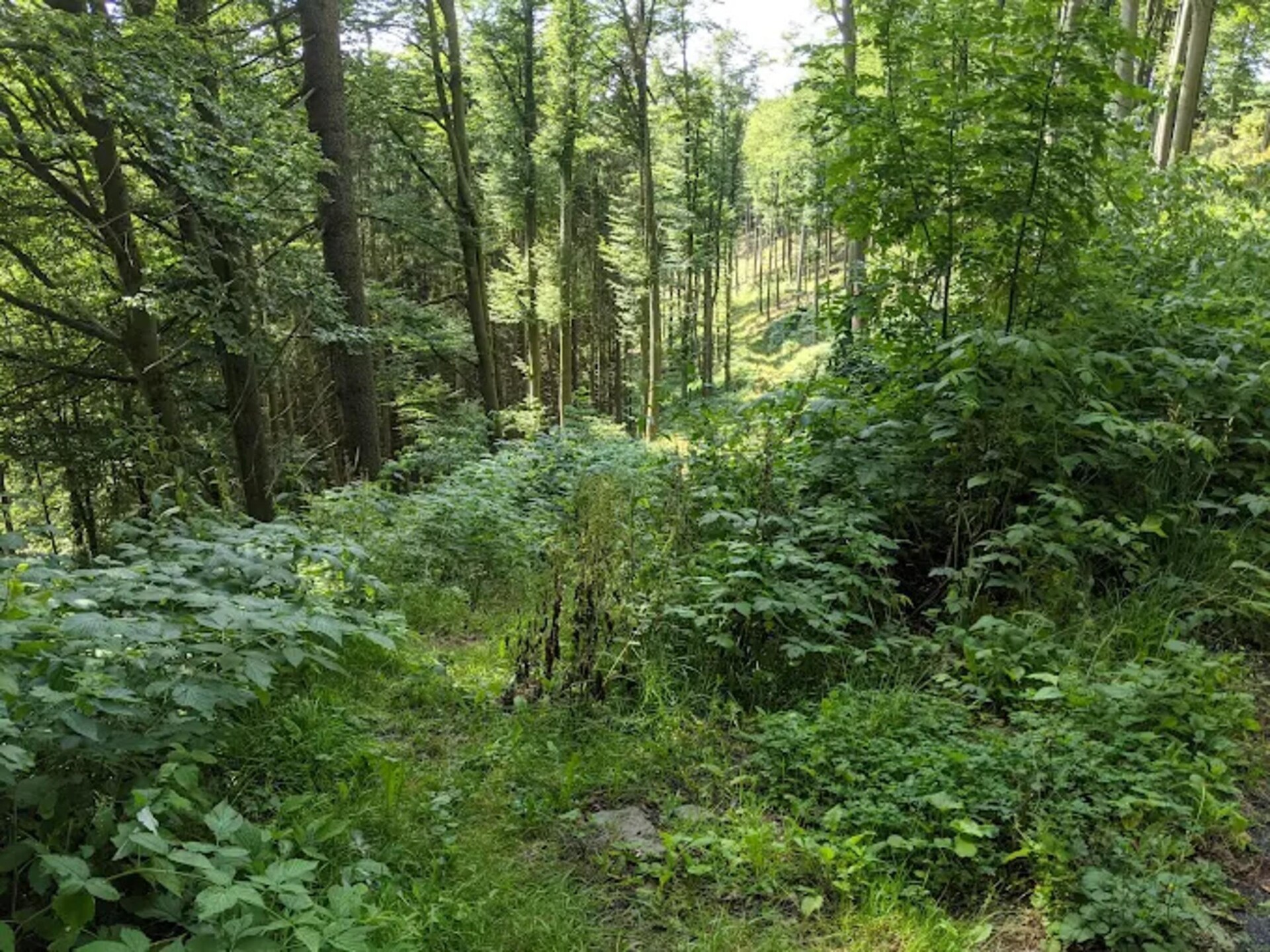 Rustiek appartement aan de golfbaan, op 280m van de piste - foto 25