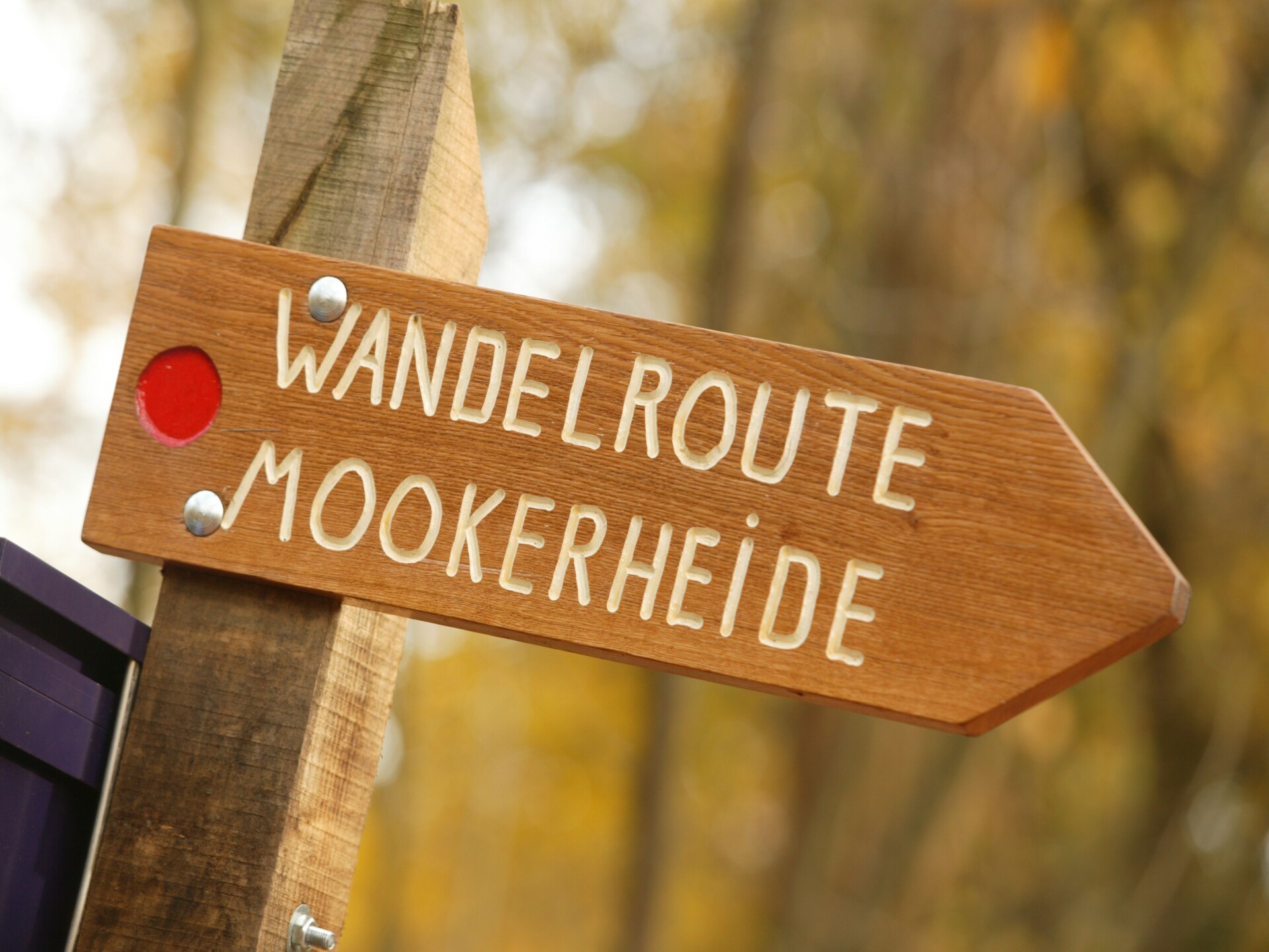Vakantie bij Meeussen: Charmante boshut met open haard in Mook - foto 22