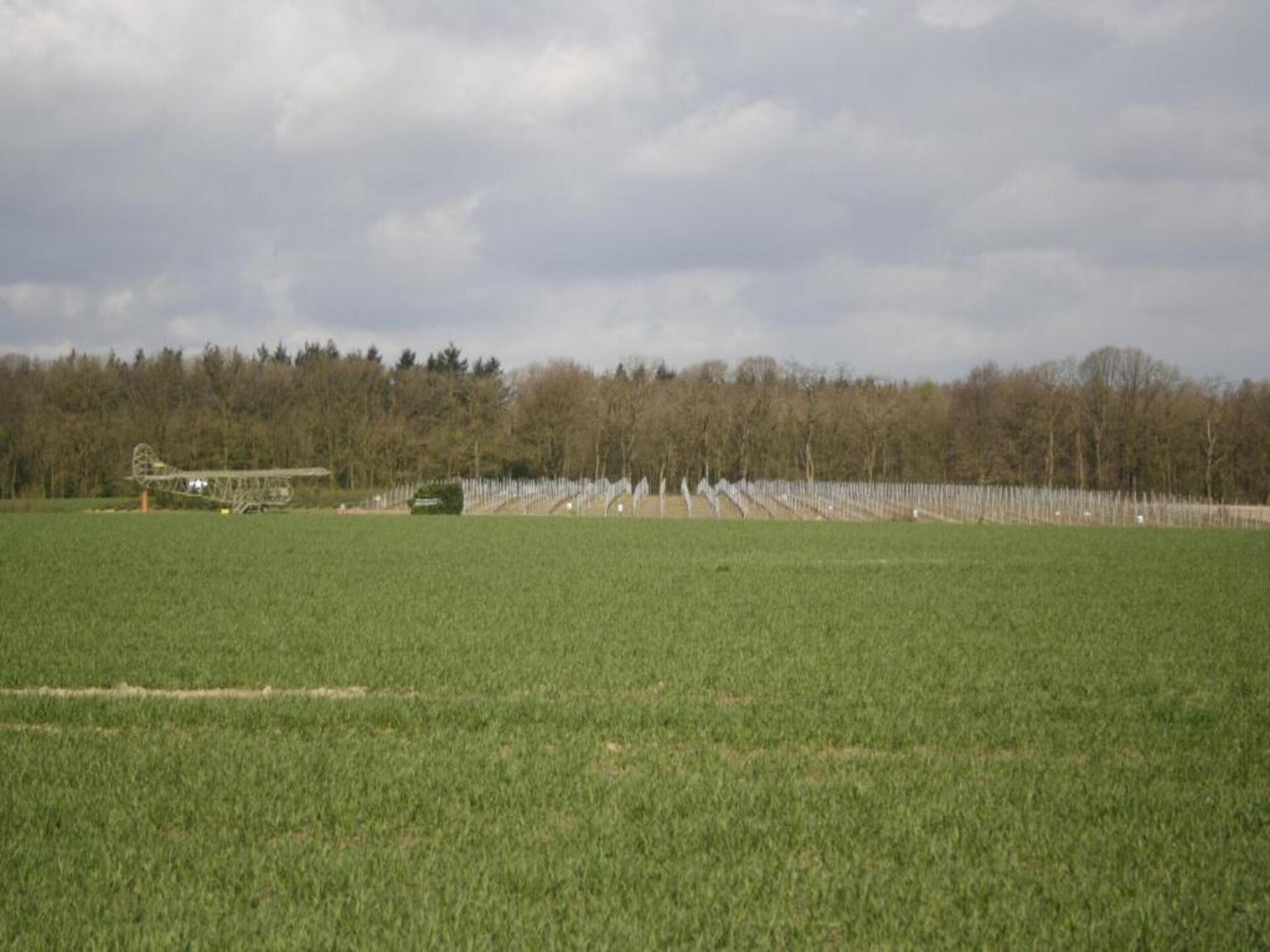 Vakantie bij Meeussen: Charmante boshut met open haard in Mook - foto 28