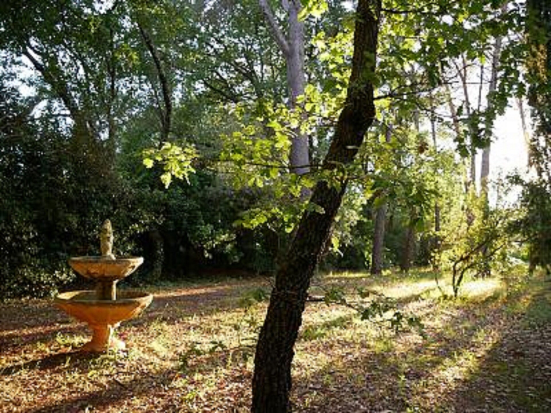 Sfeervol gelijkvloers huis met privézwembad en omheinde tuin in Draguignan - foto 28