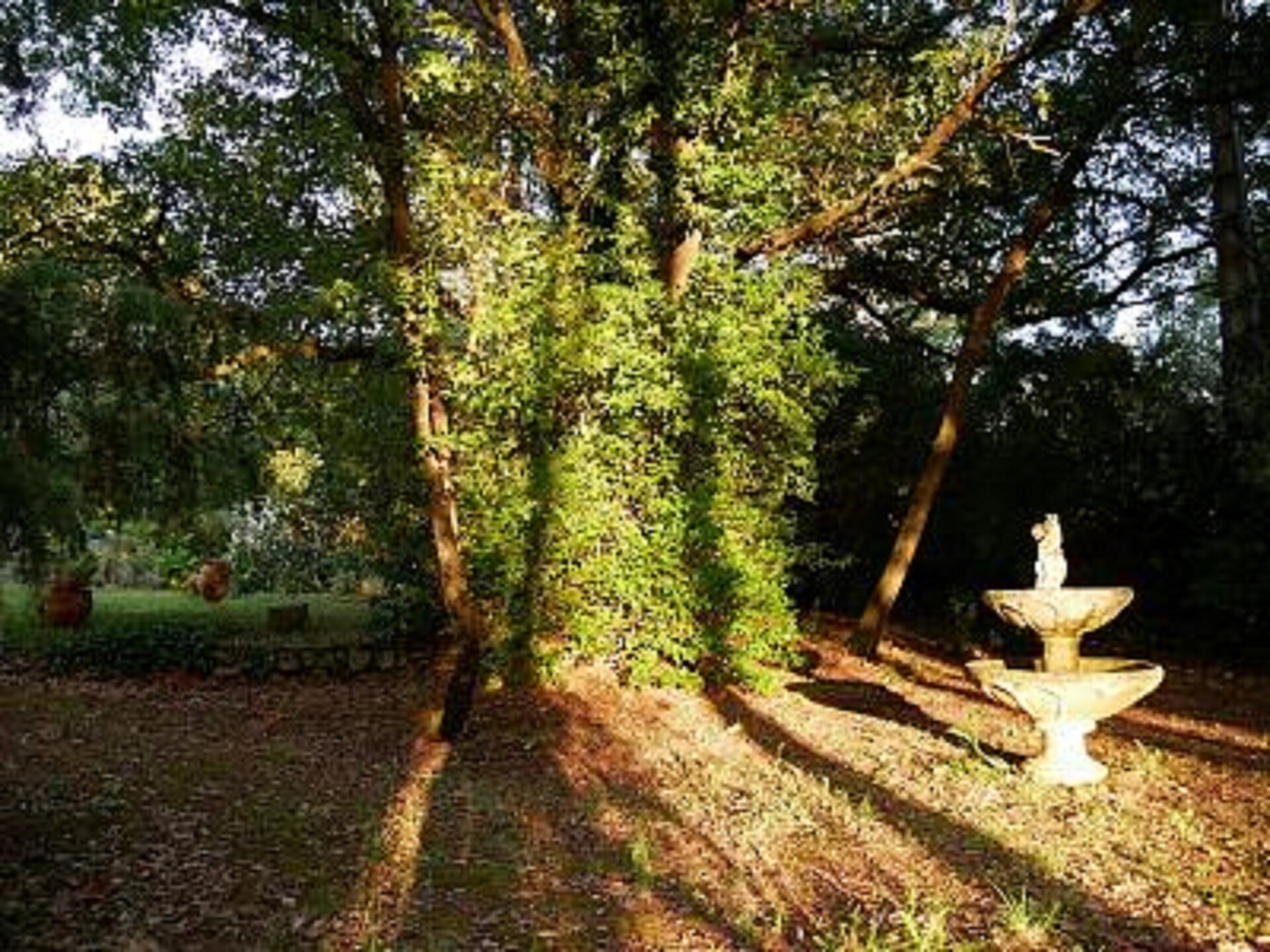 Sfeervol gelijkvloers huis met privézwembad en omheinde tuin in Draguignan - foto 29