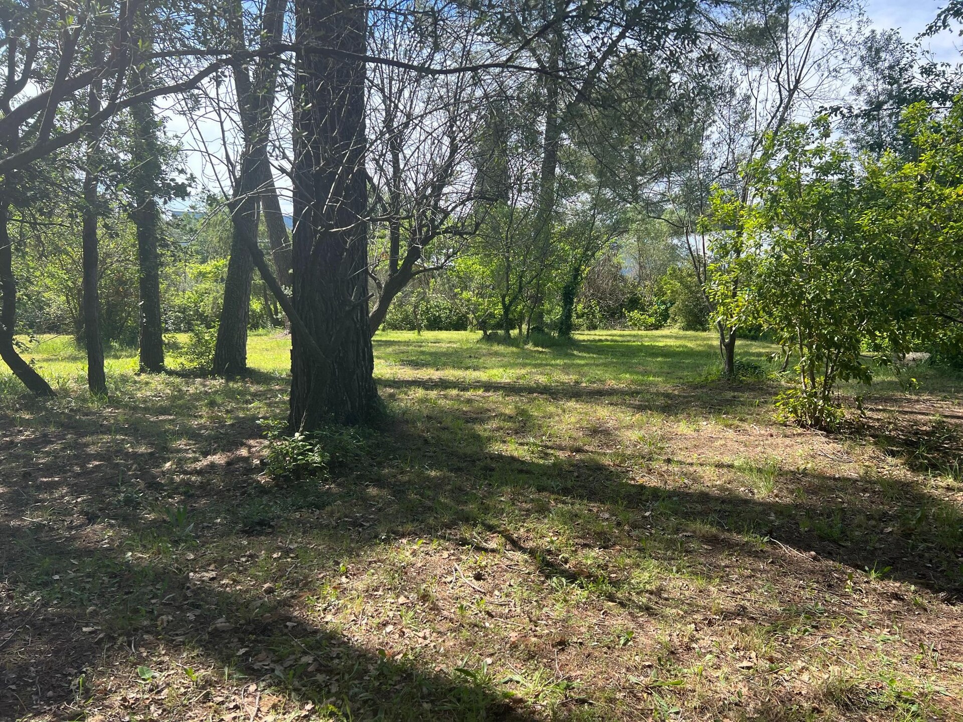 Sfeervol gelijkvloers huis met privézwembad en omheinde tuin in Draguignan - foto 30