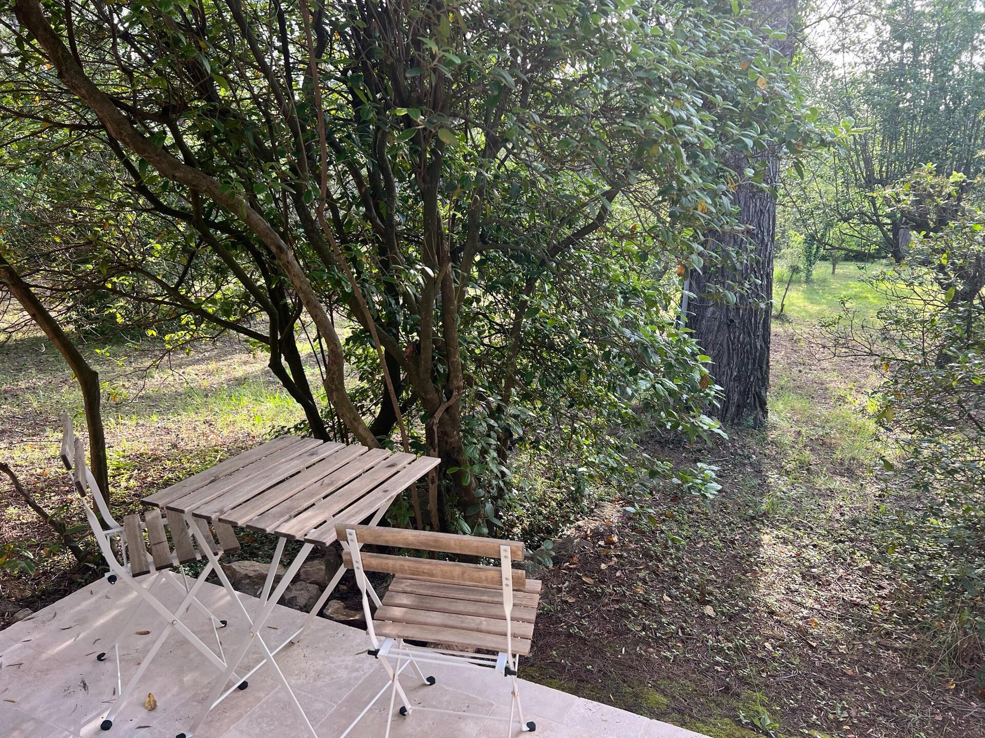 Sfeervol gelijkvloers huis met privézwembad en omheinde tuin in Draguignan - foto 31