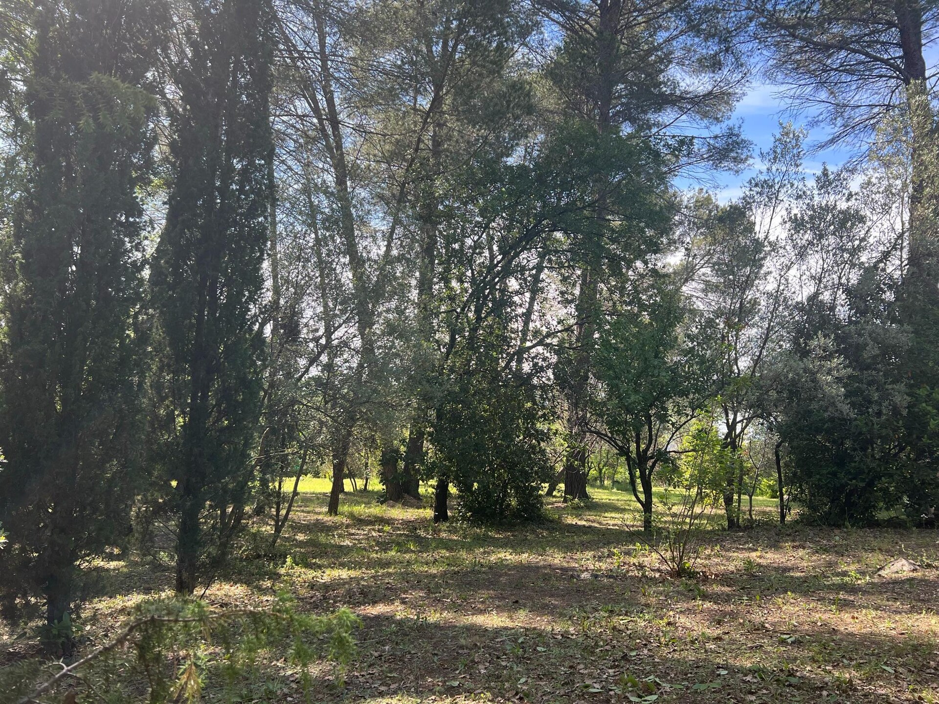 Sfeervol gelijkvloers huis met privézwembad en omheinde tuin in Draguignan - foto 33