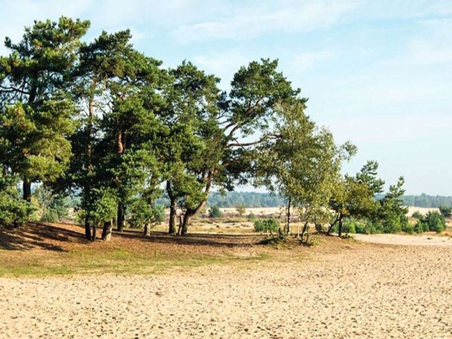 Luxe landhuis met zwembad en sauna aan Loonse Duinen voor 14 personen - foto 31