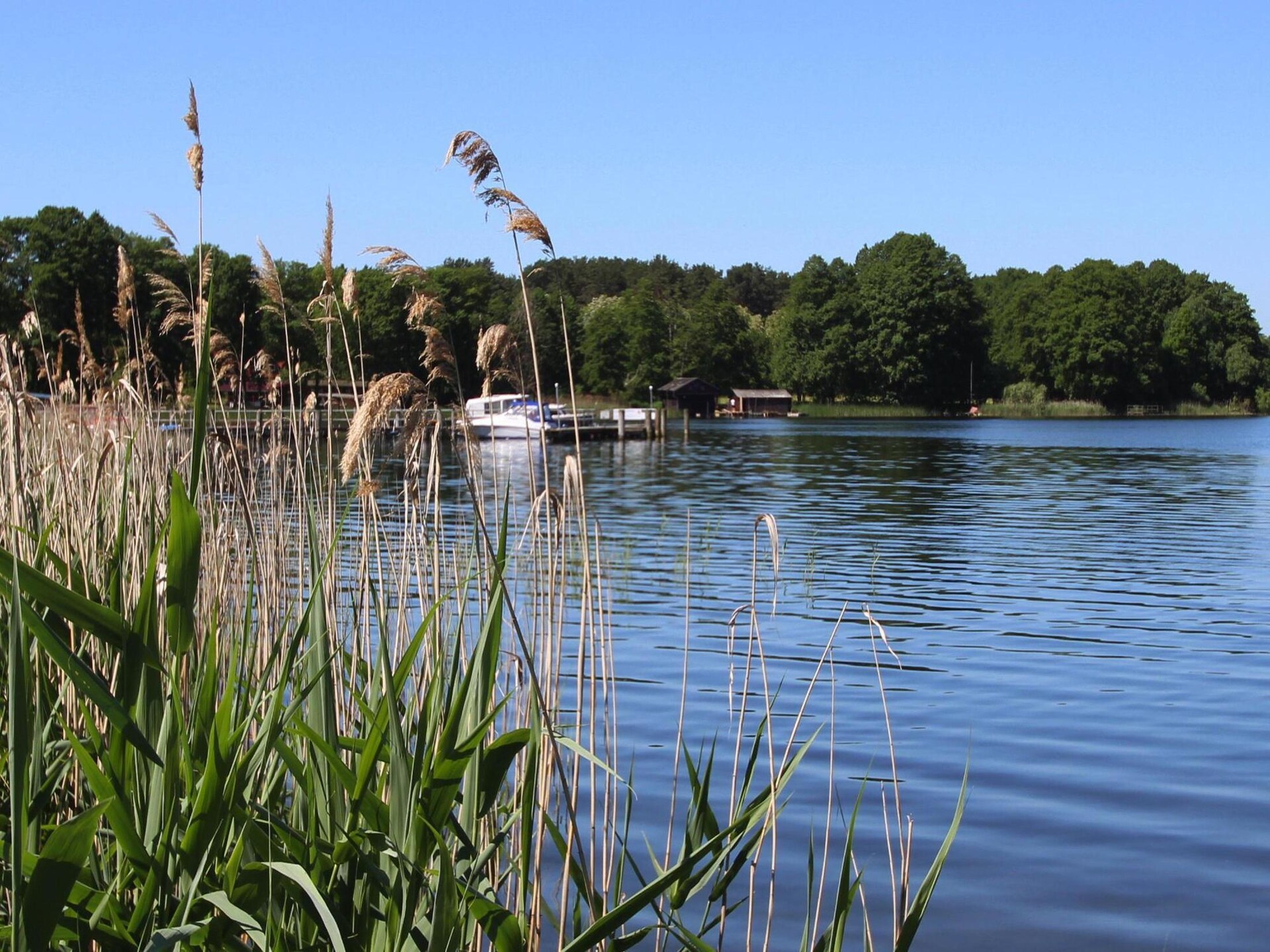 Op 300 m van het meer: Rustgevend vakantiehuis in Mirow - foto 32