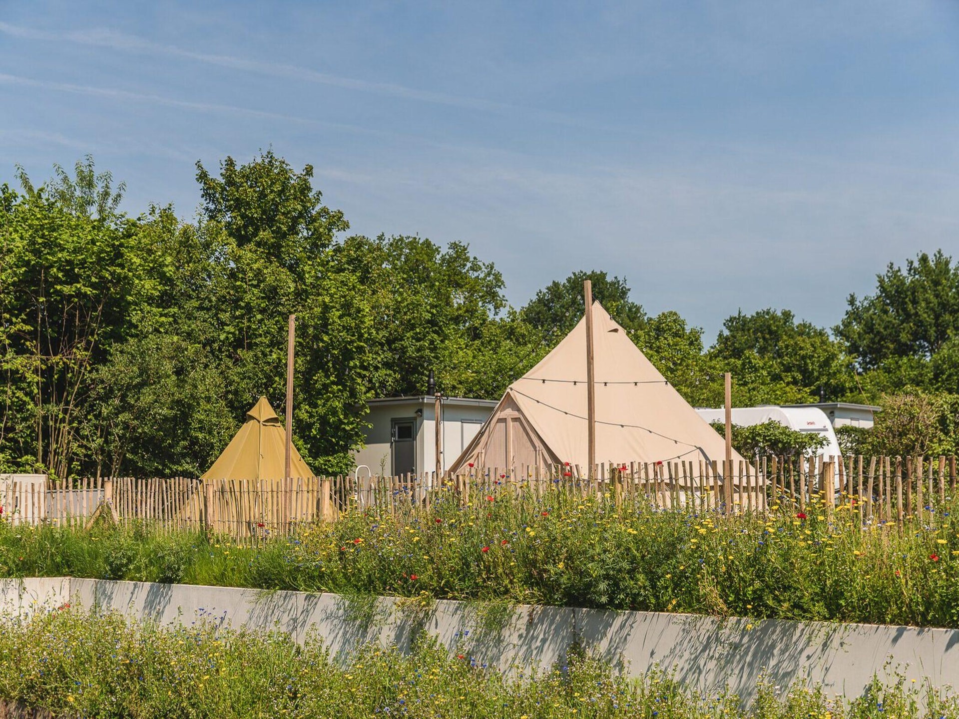 Wellness glamping aan de rivier de Regge in Zuna - foto 12