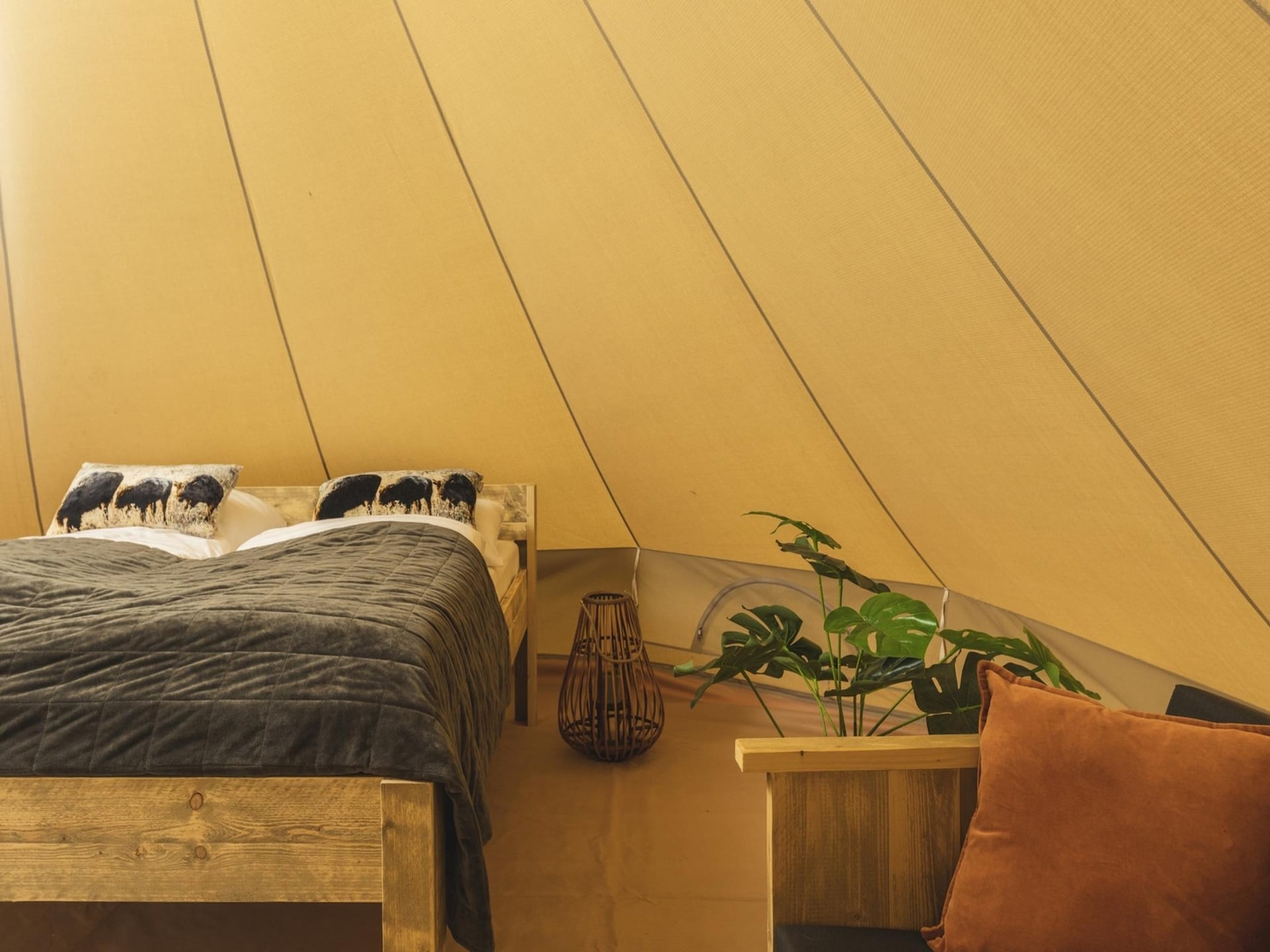 Wellness glamping aan de rivier de Regge in Zuna - foto 3