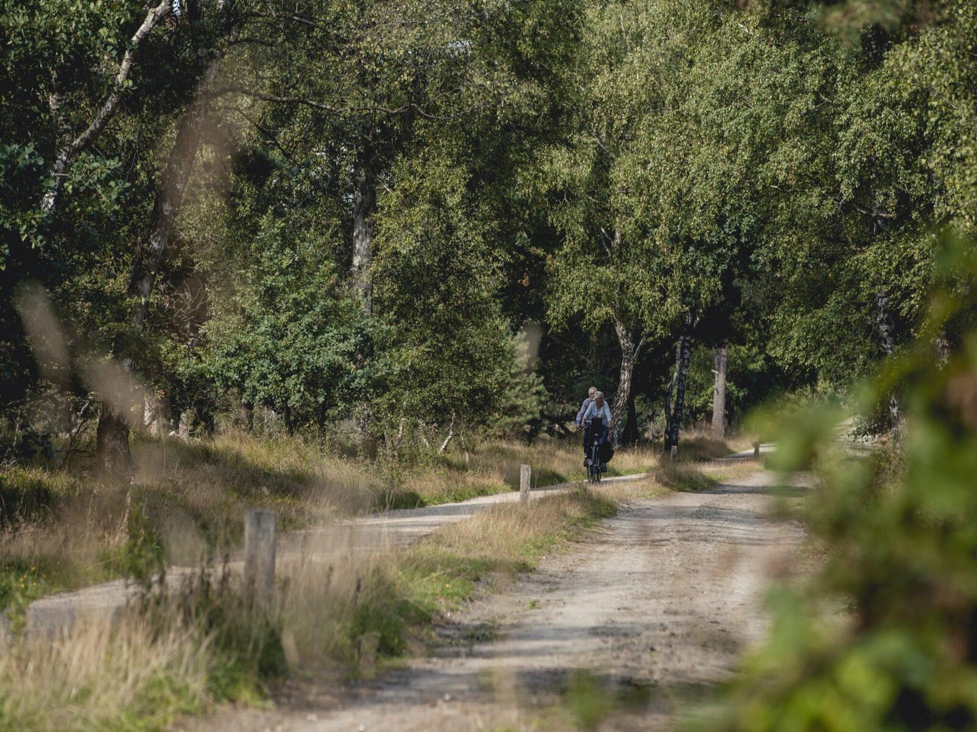 Wellness glamping aan de rivier de Regge in Zuna - foto 26