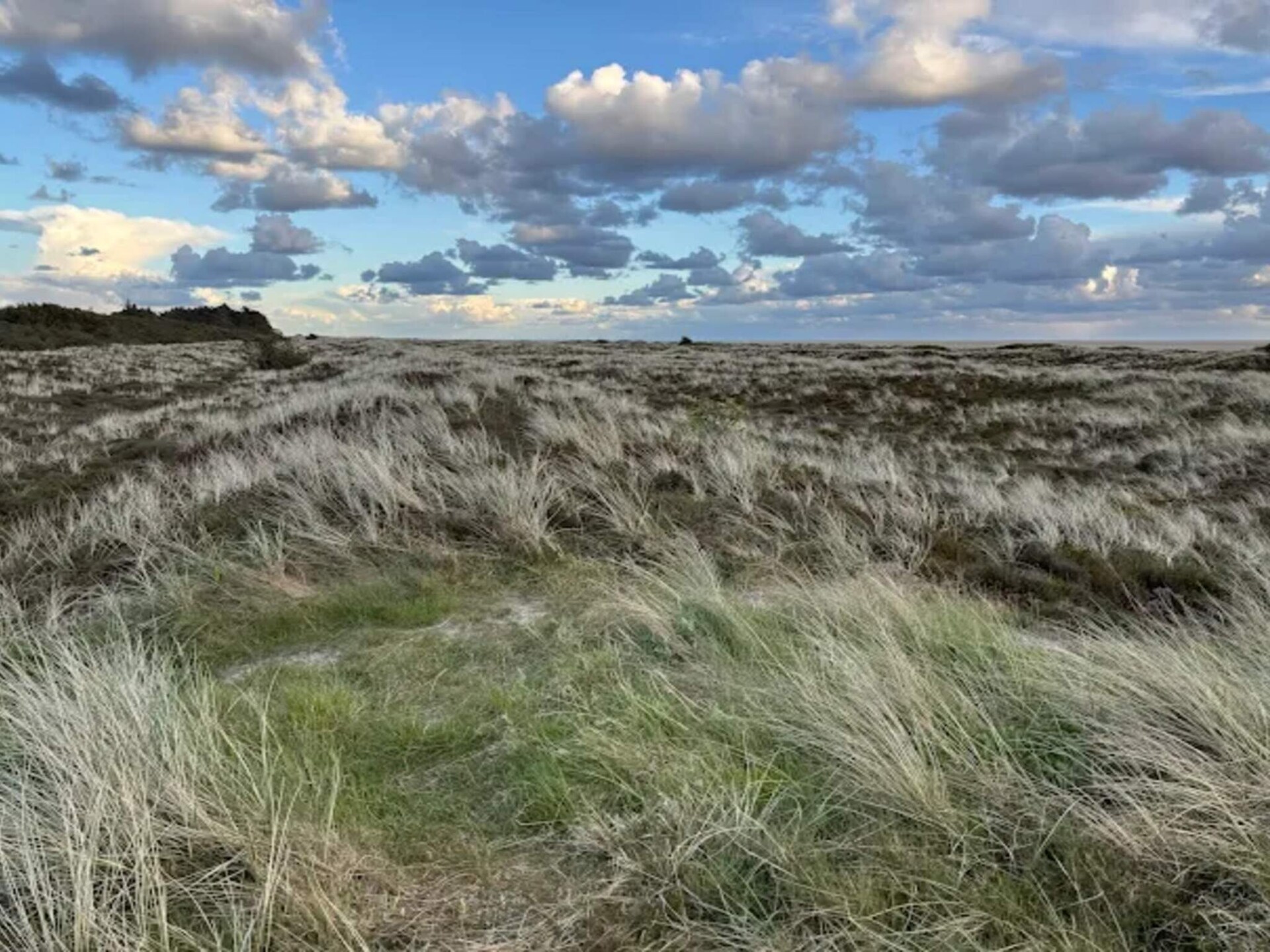 Gerenoveerd appartement op Rømø, 1 km van zee, met zwembad en golfbaan - foto 10