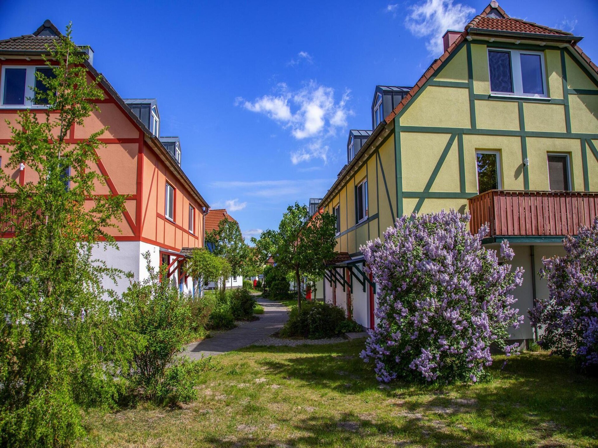 Appartement aan het meer in BEECH Resort Fleesensee, Göhren-Lebbin - foto 26
