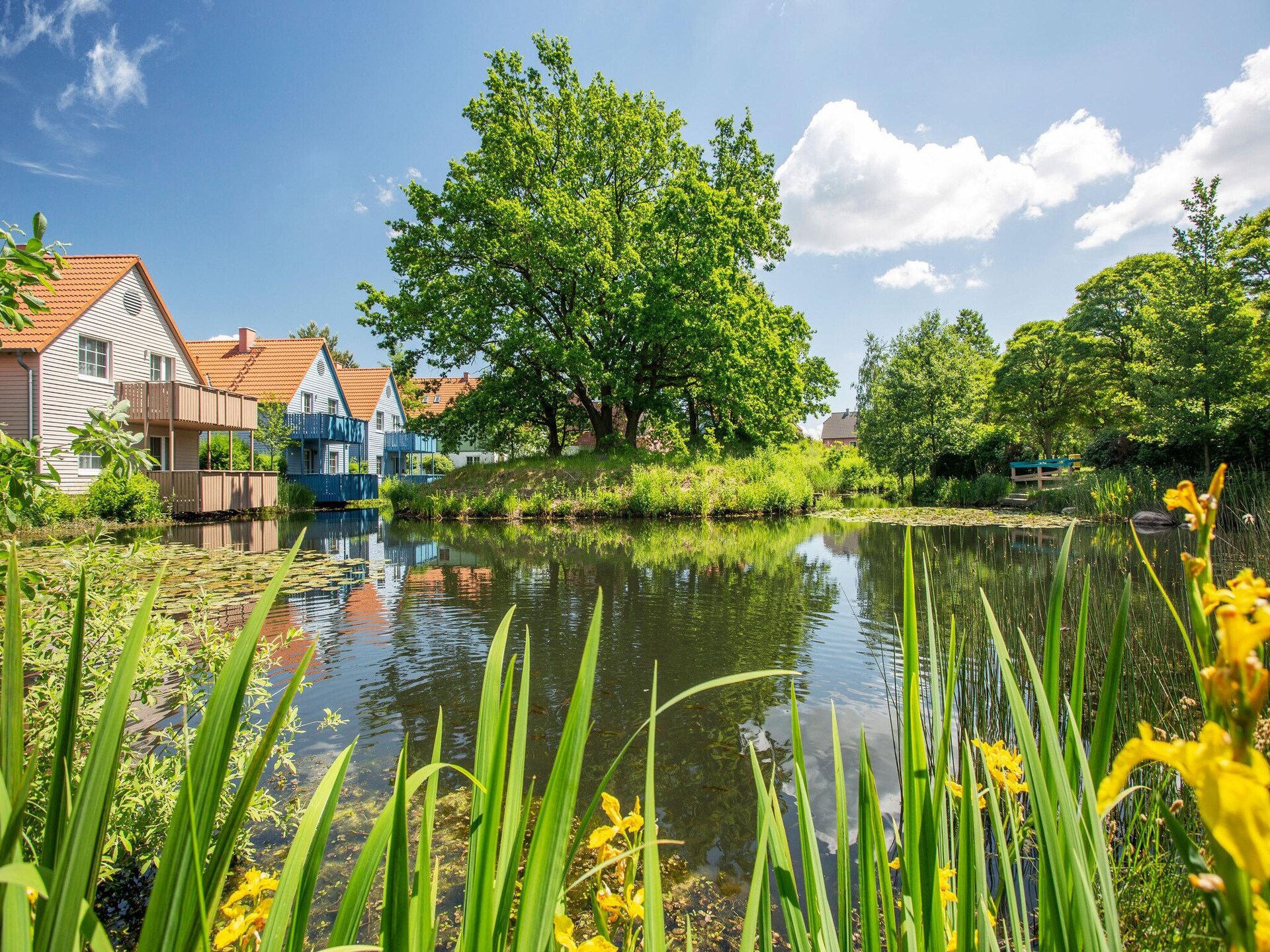 Appartement aan het meer in BEECH Resort Fleesensee, Göhren-Lebbin - foto 30