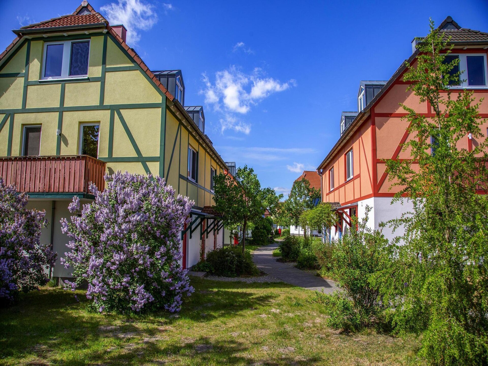 Wellness en rust in appartement BEECH Resort Fleesensee - foto 23