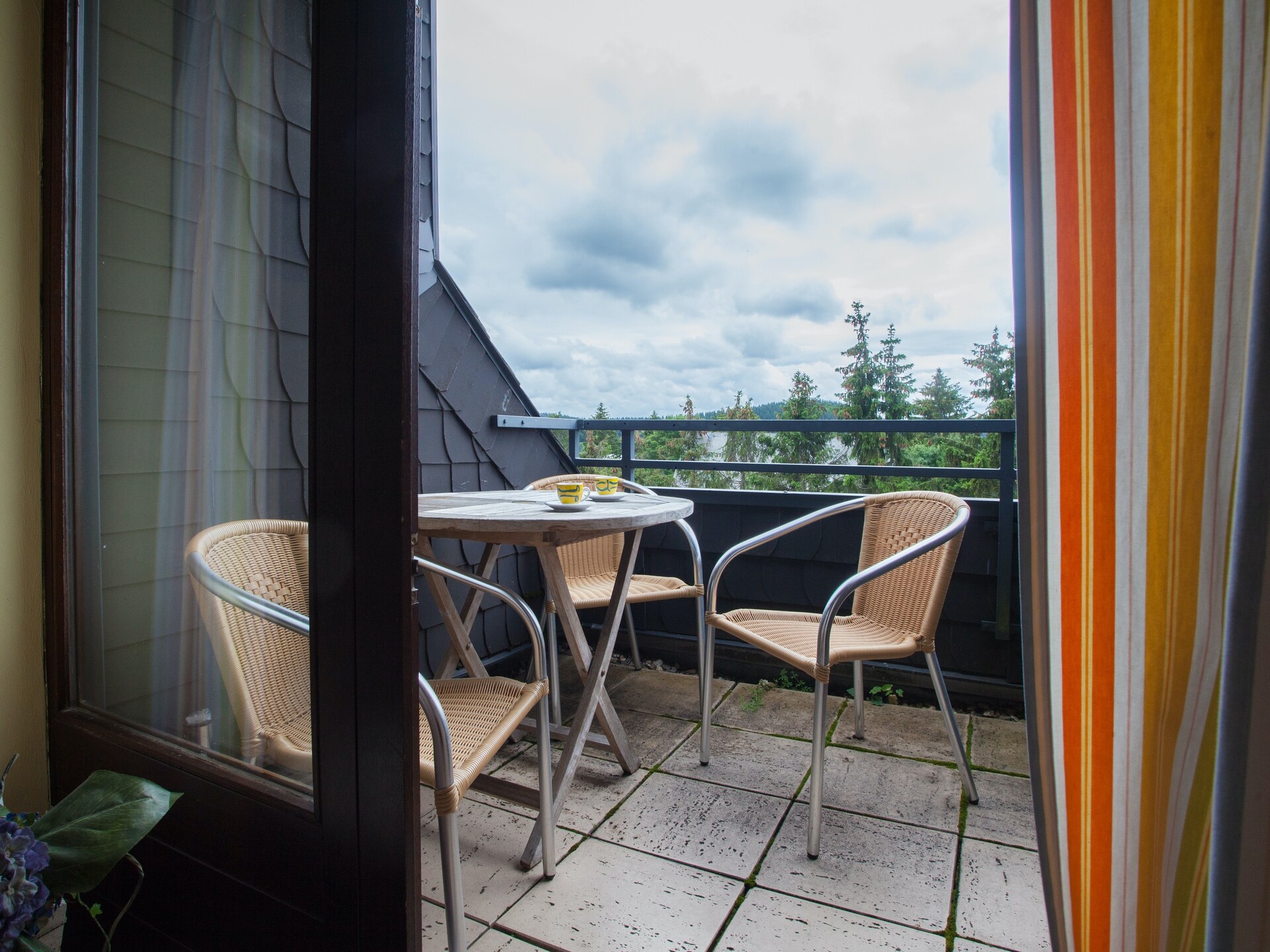Gezellig appartement aan de piste in Winterberg met balkon en boszicht - foto 4