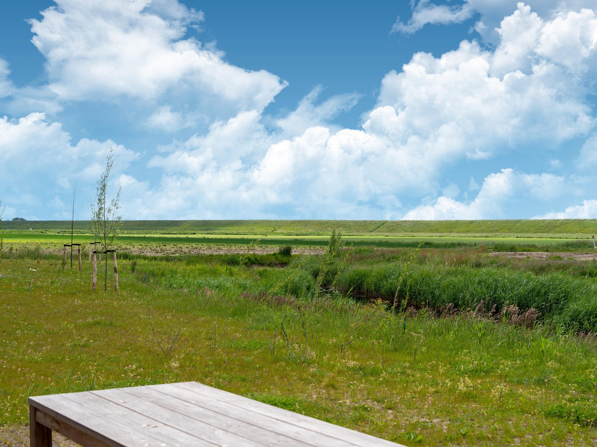 Modern vakantiehuis Wulpdal 51, op 300m van strand in Zeeland - foto 34