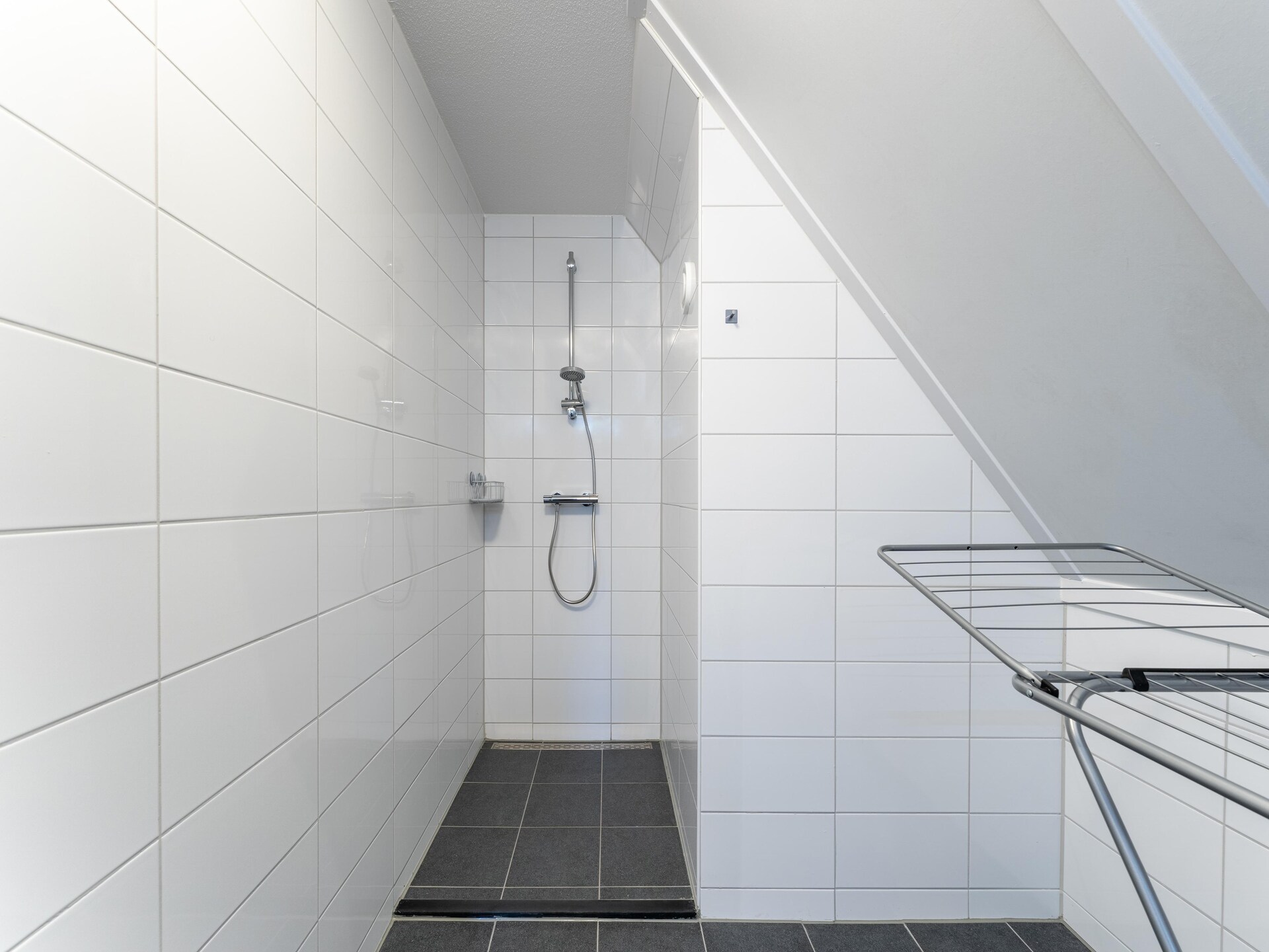 Luxe wellnessvakantiehuis De Reiger met bubbelbad, 300m van het strand - foto 33