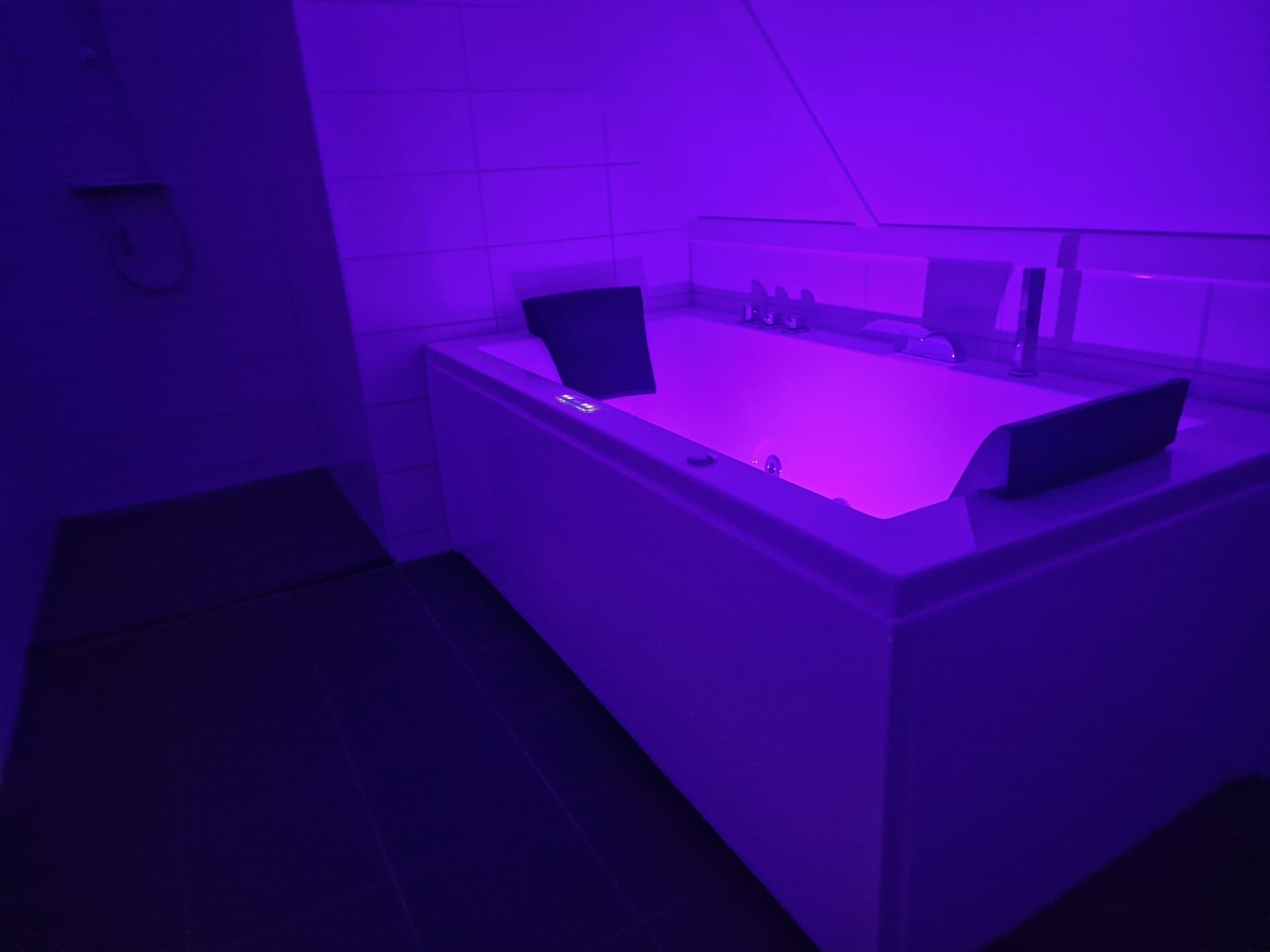 Luxe wellnessvakantiehuis De Reiger met bubbelbad, 300m van het strand - foto 30