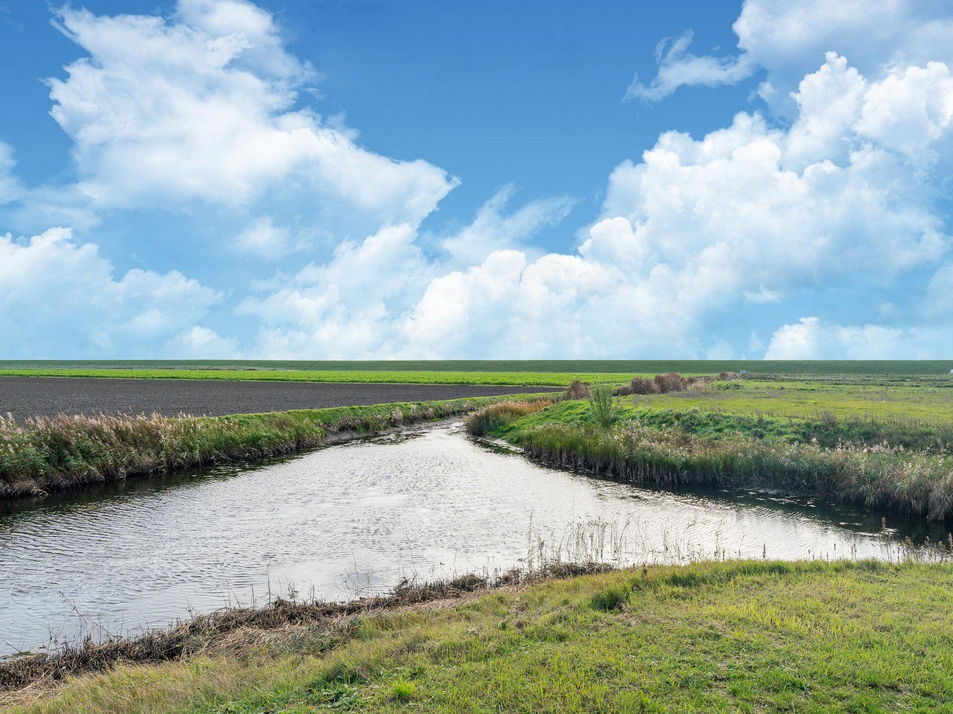 De Ooievaar: Luxe vrijstaand vakantiehuis aan Nationaal Park Oosterschelde - foto 35