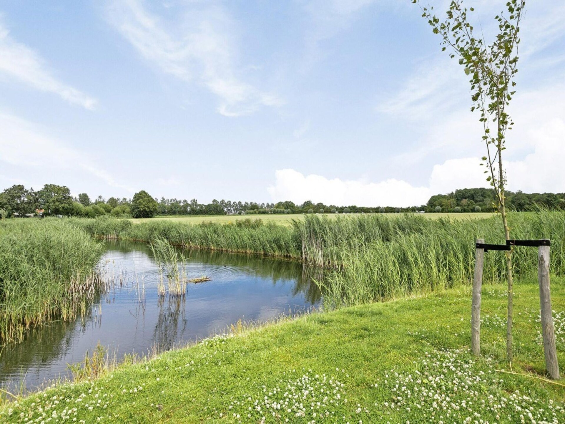 De Ooievaar: Luxe vrijstaand vakantiehuis aan Nationaal Park Oosterschelde - foto 31