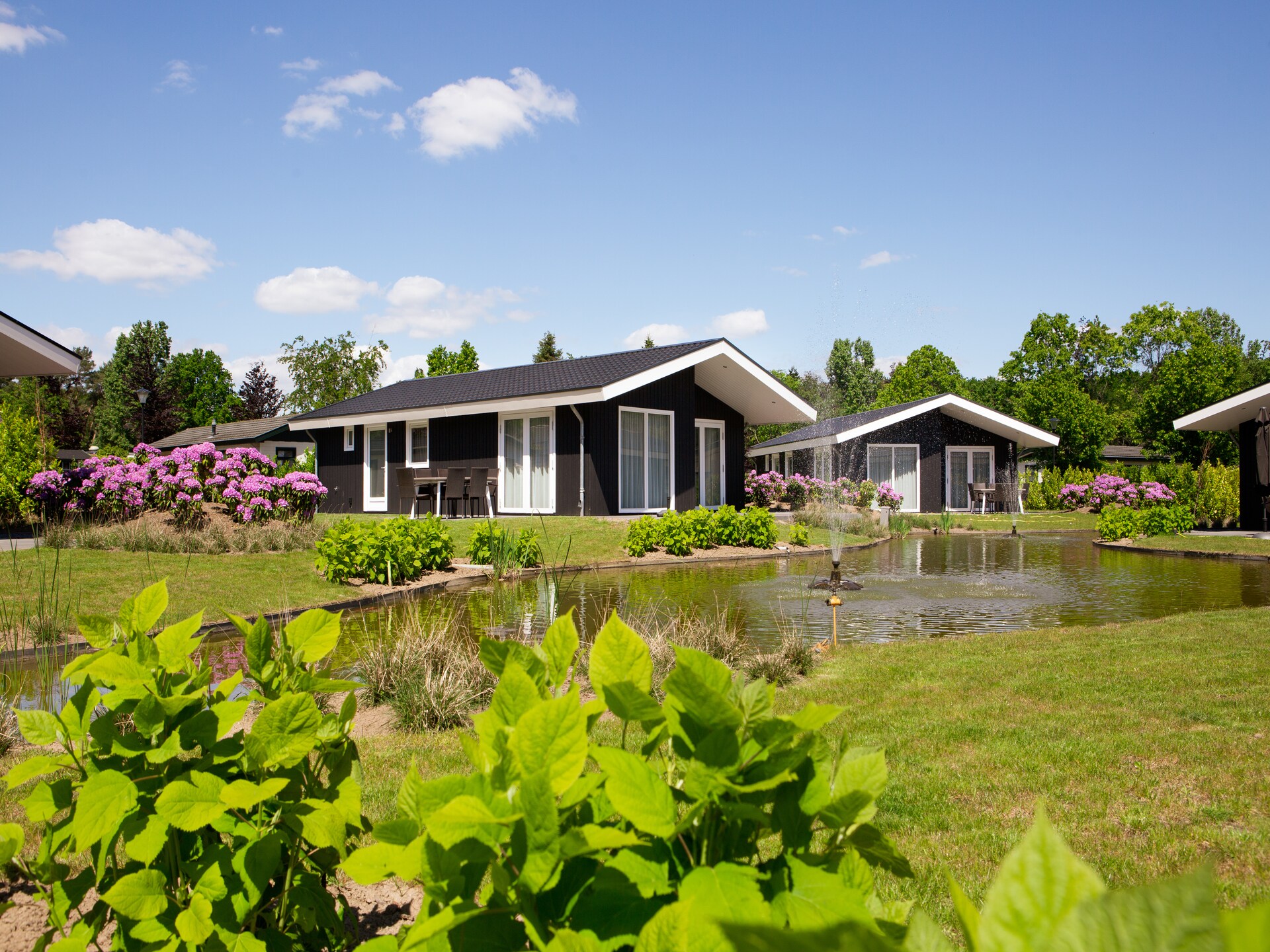 Modern chalet aan het water met hondenvriendelijke tuin in Veldhoven - foto 5