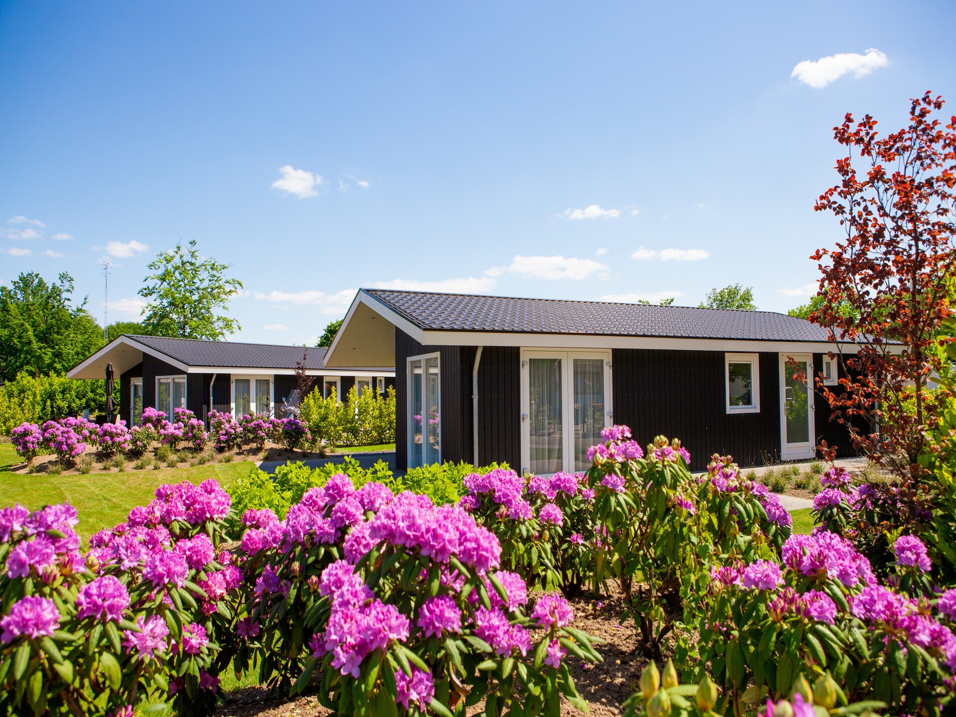 Modern chalet aan het water met hondenvriendelijke tuin in Veldhoven - foto 9